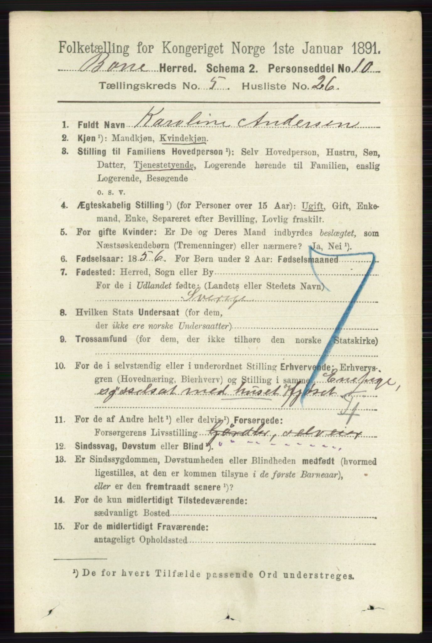 RA, 1891 census for 0717 Borre, 1891, p. 2187