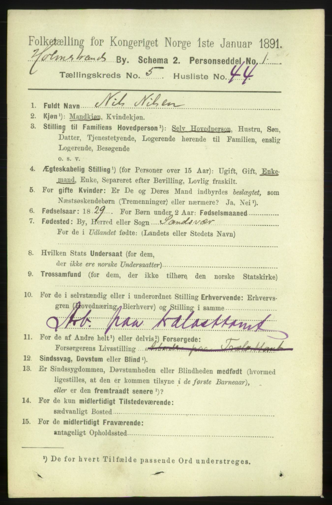 RA, 1891 census for 0702 Holmestrand, 1891, p. 2973