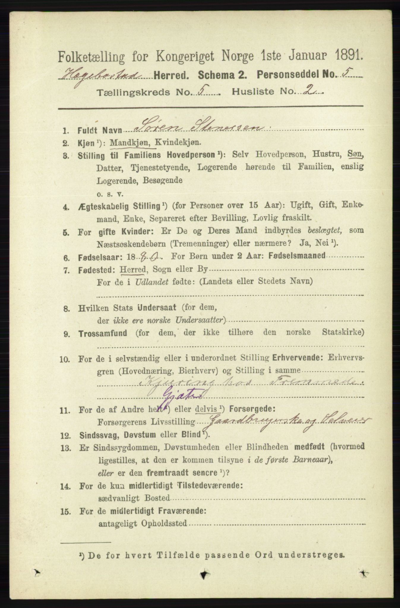 RA, 1891 census for 1034 Hægebostad, 1891, p. 1498