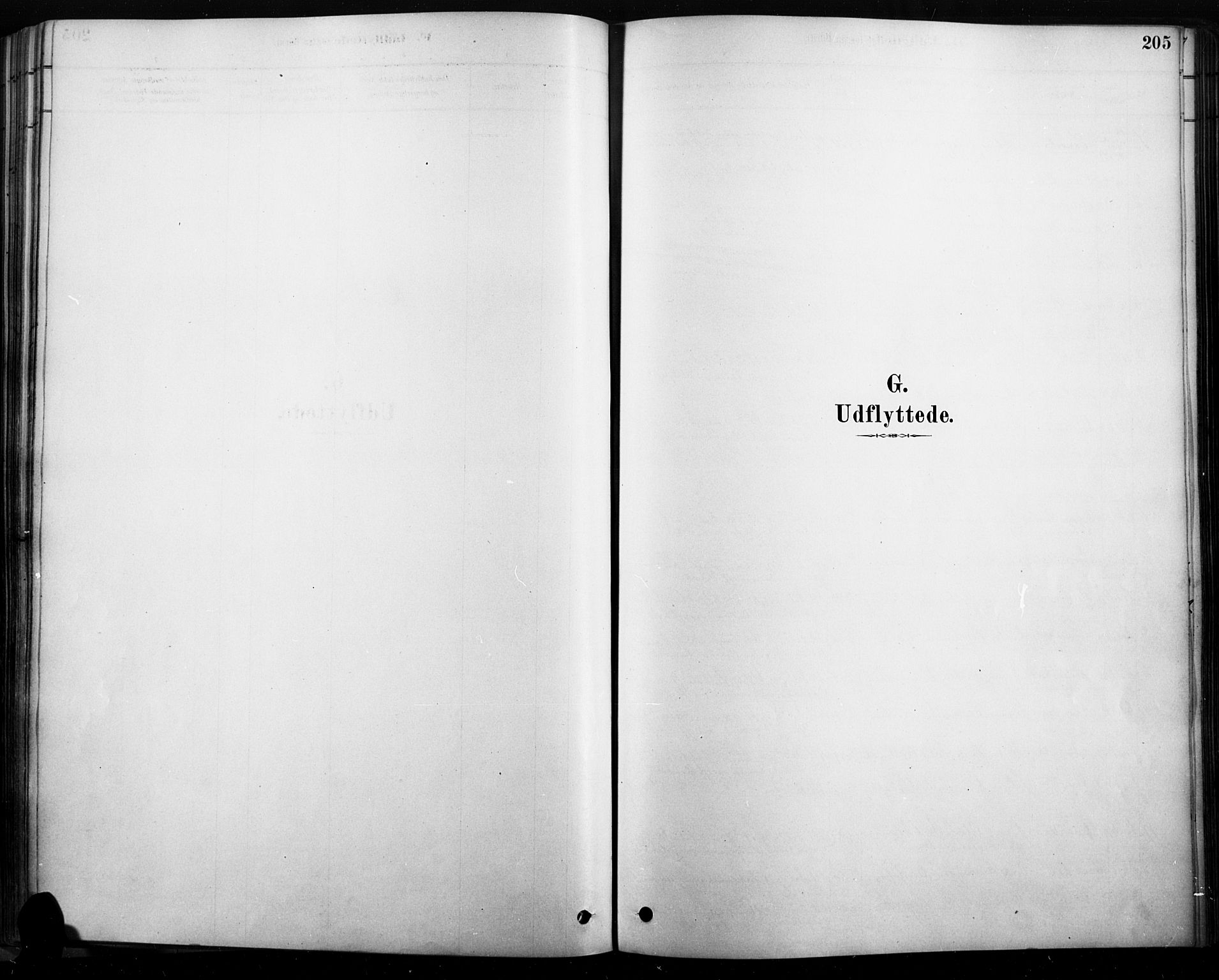 Rendalen prestekontor, SAH/PREST-054/H/Ha/Haa/L0009: Parish register (official) no. 9, 1878-1901, p. 205