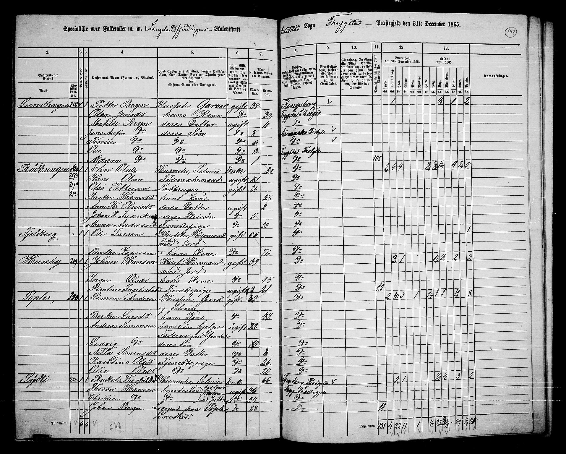 RA, 1865 census for Trøgstad, 1865, p. 173