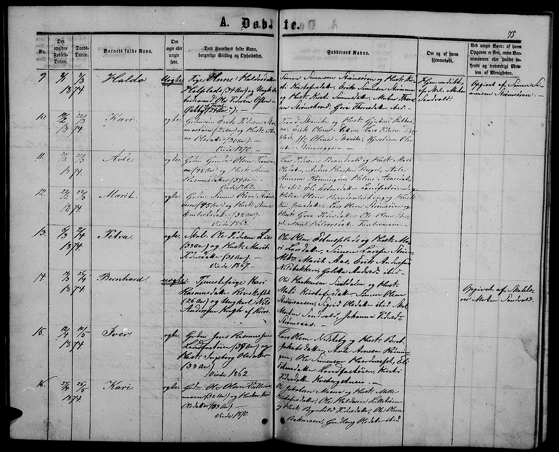 Alvdal prestekontor, SAH/PREST-060/H/Ha/Hab/L0002: Parish register (copy) no. 2, 1863-1878, p. 75