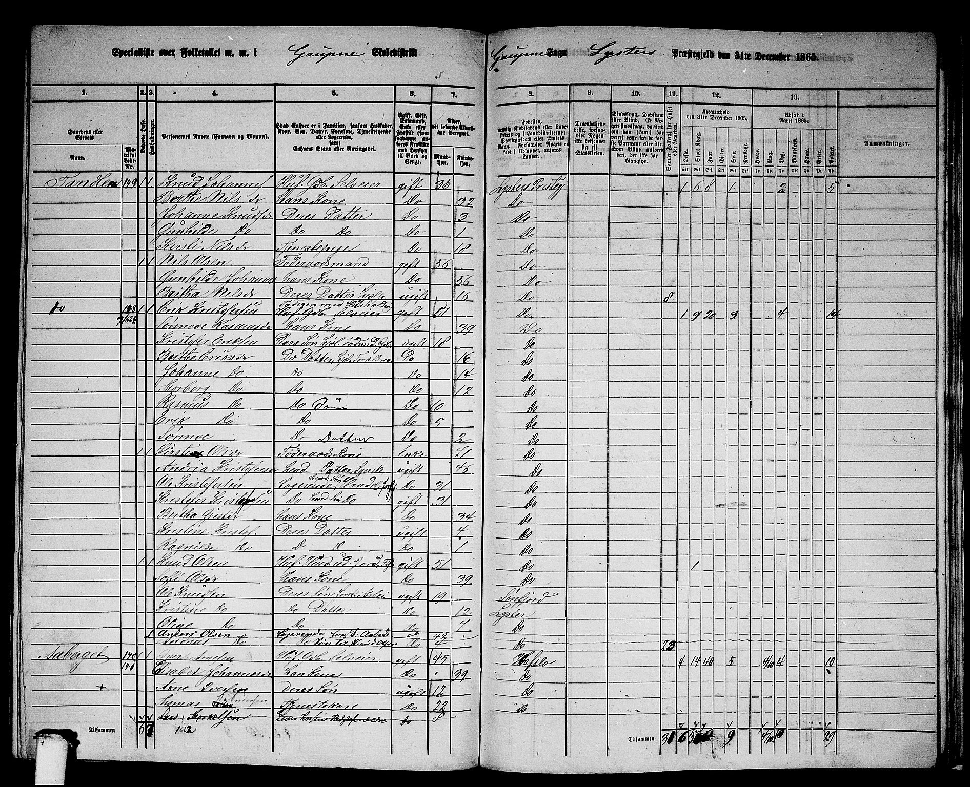 RA, 1865 census for Luster, 1865, p. 144