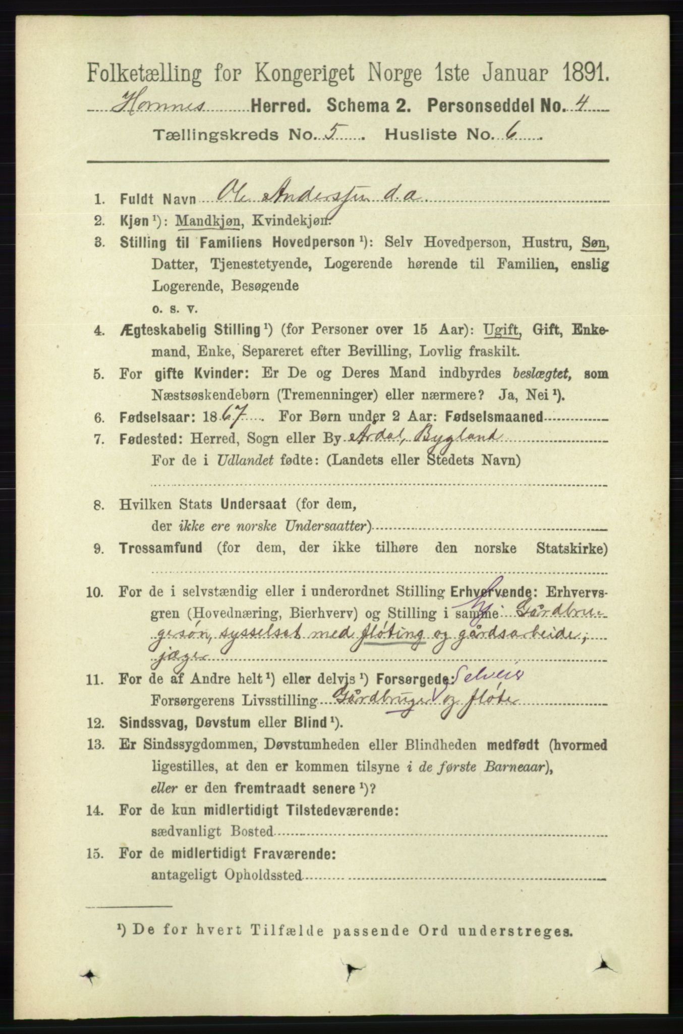 RA, 1891 census for 0936 Hornnes, 1891, p. 1391