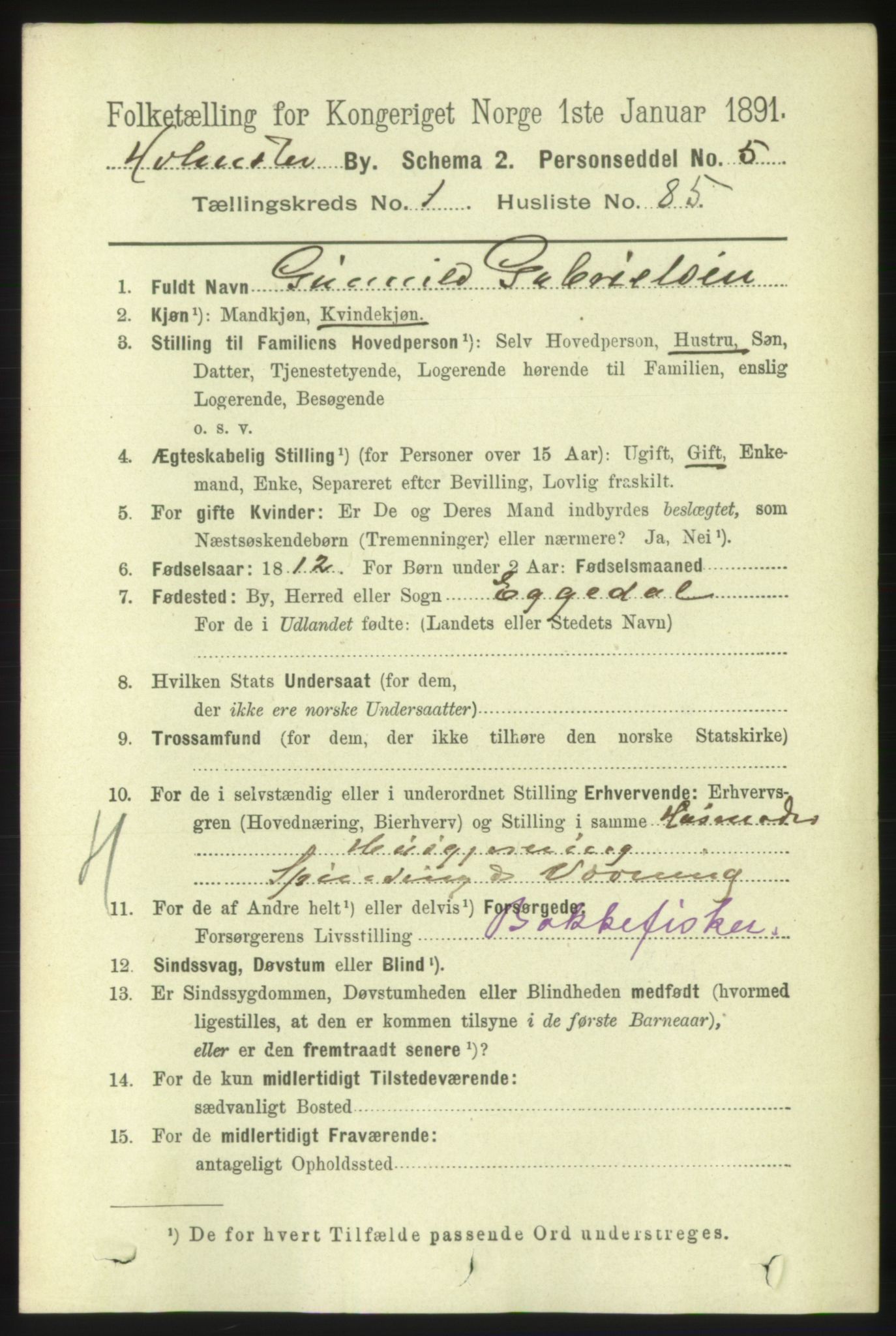 RA, 1891 census for 0603 Holmsbu, 1891, p. 681