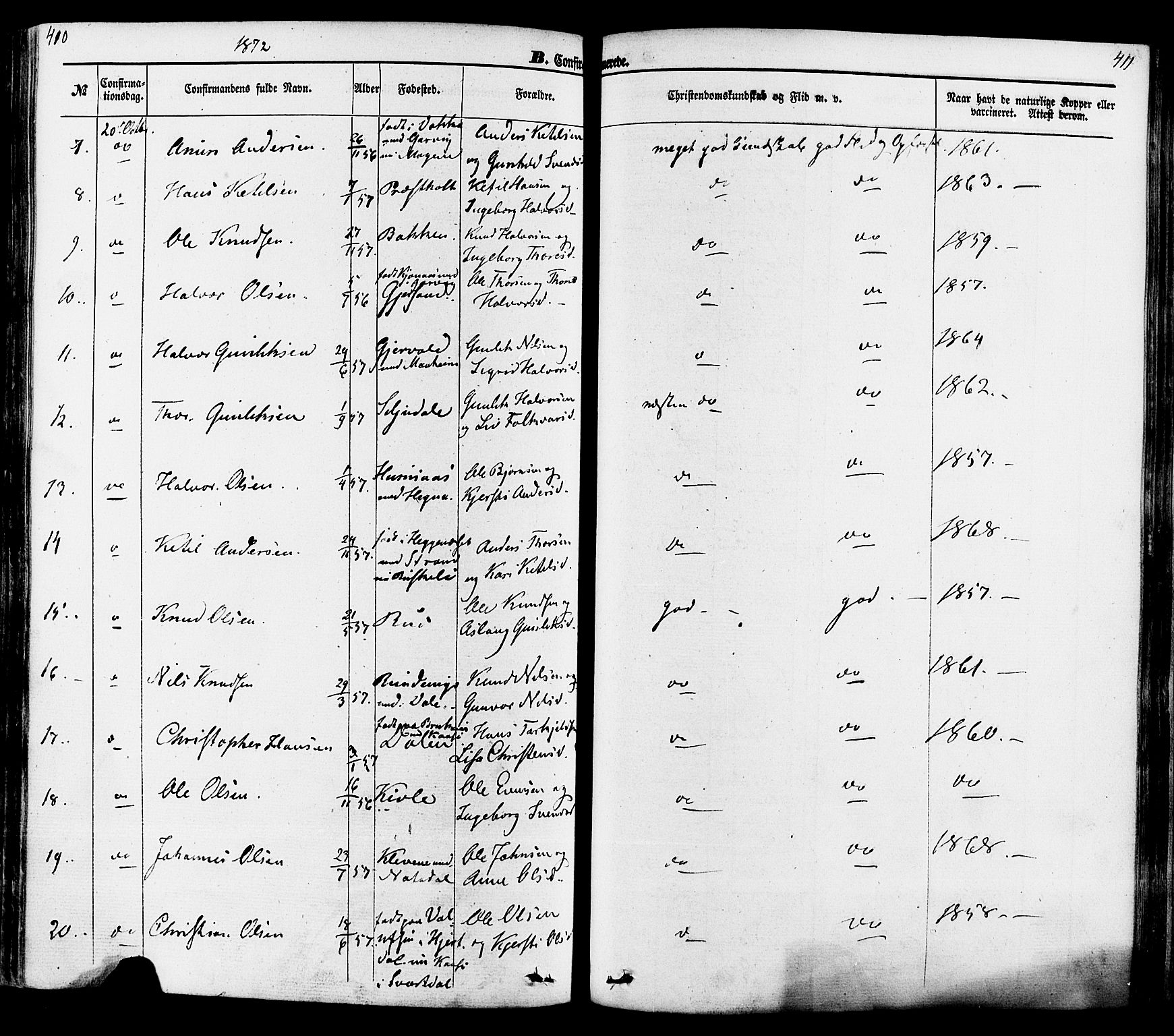 Seljord kirkebøker, SAKO/A-20/F/Fa/L0013: Parish register (official) no. I 13, 1866-1876, p. 410-411