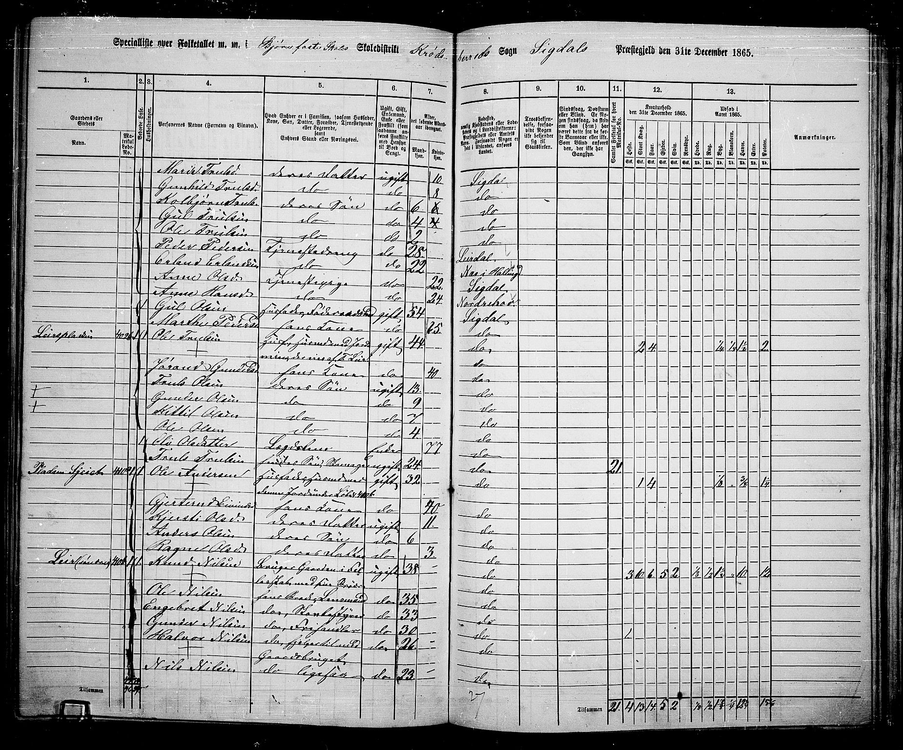 RA, 1865 census for Sigdal, 1865, p. 237