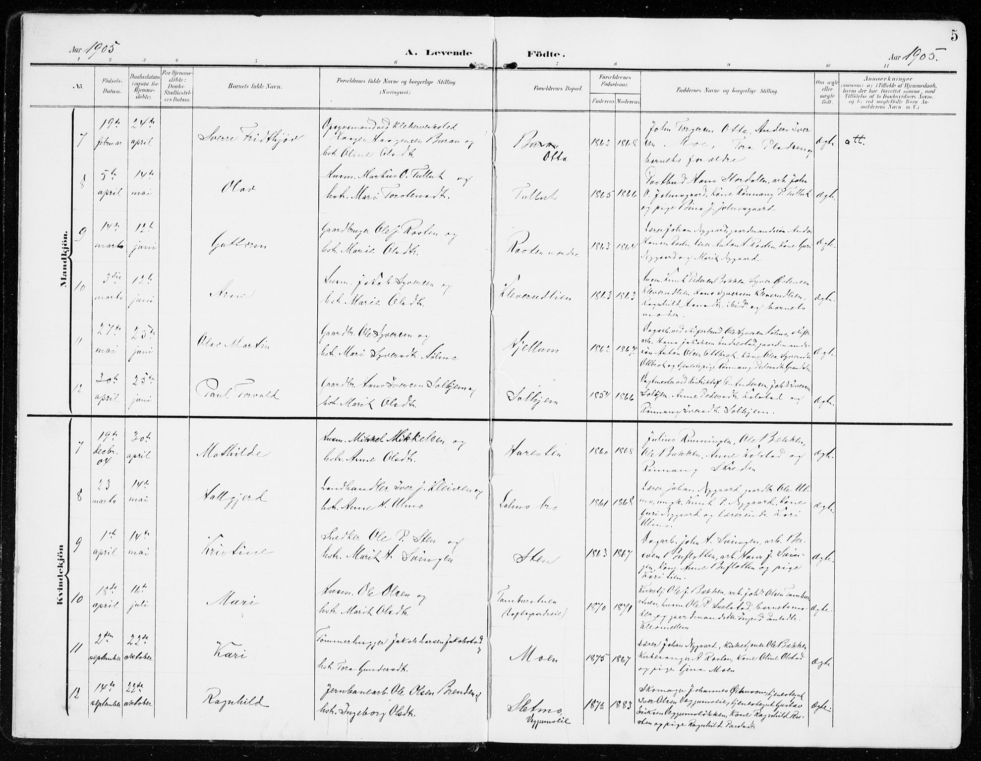 Sel prestekontor, SAH/PREST-074/H/Ha/Haa/L0002: Parish register (official) no. 2, 1905-1919, p. 5