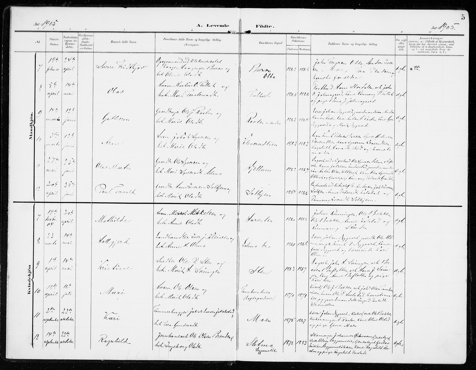 Sel prestekontor, AV/SAH-PREST-074/H/Ha/Haa/L0002: Parish register (official) no. 2, 1905-1919, p. 5
