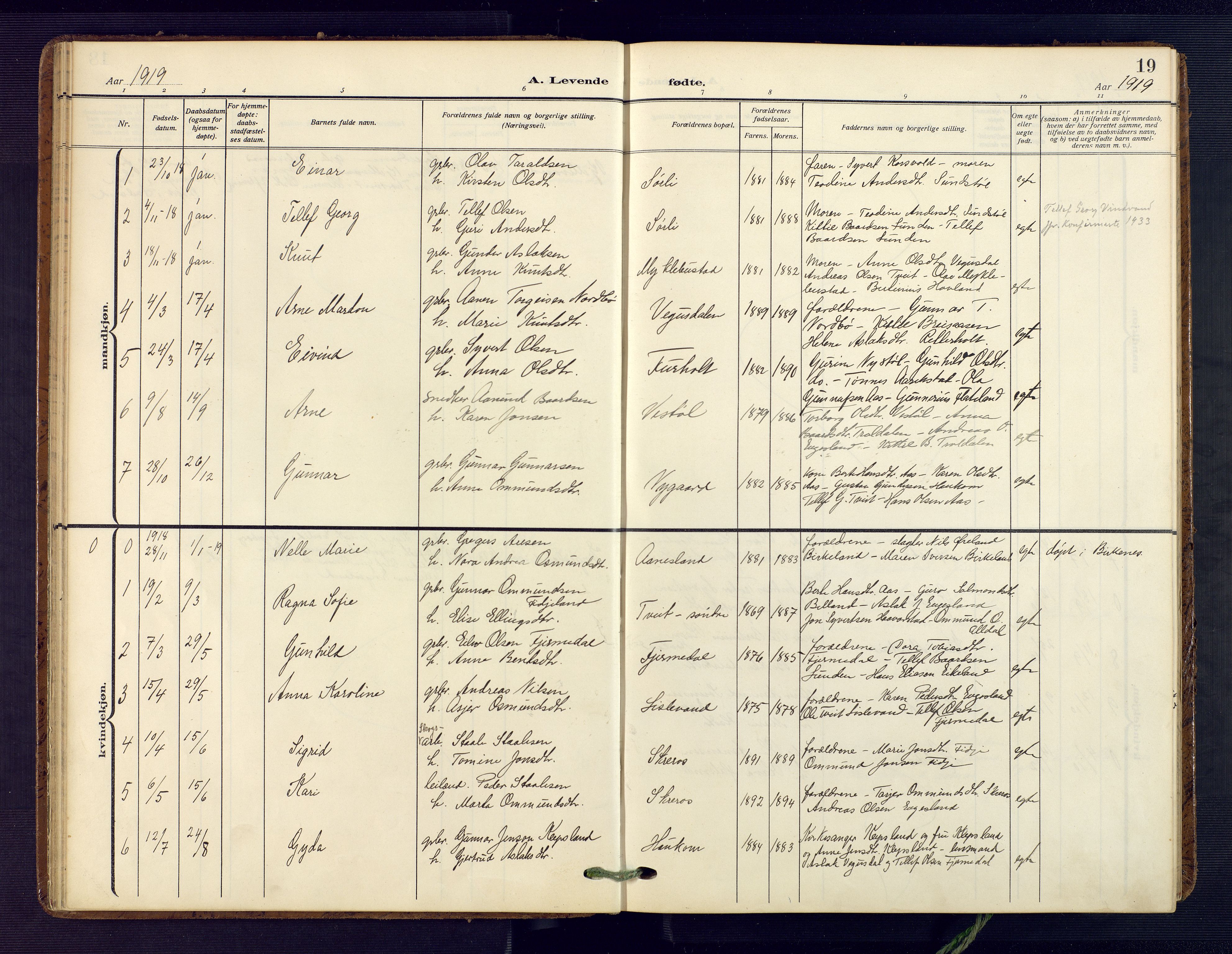 Herefoss sokneprestkontor, SAK/1111-0019/F/Fa/Fab/L0005: Parish register (official) no. A 5, 1910-1932, p. 19