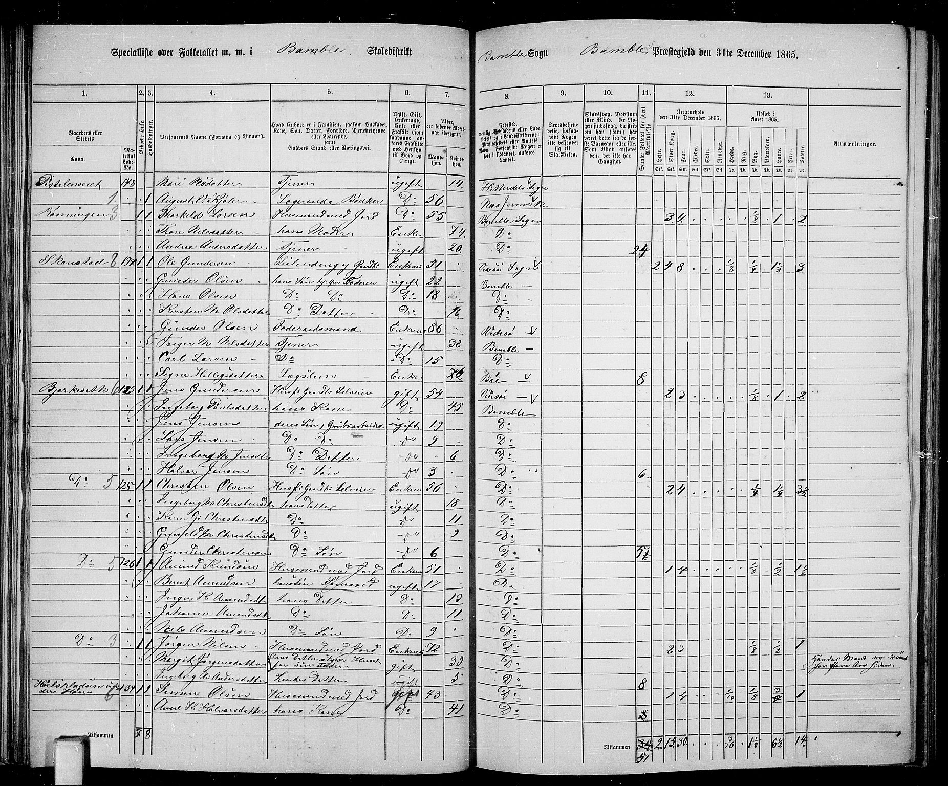 RA, 1865 census for Bamble, 1865, p. 80