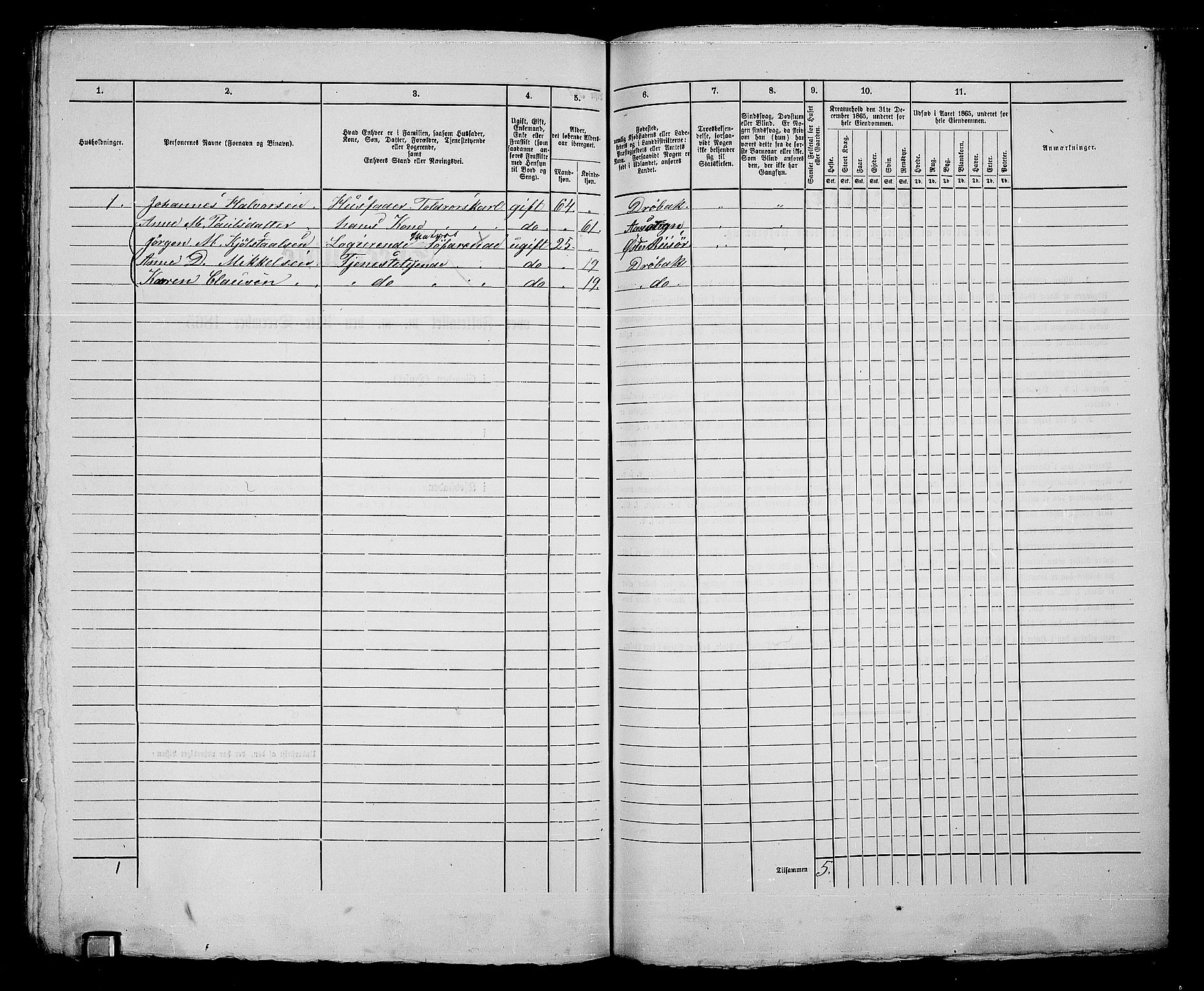 RA, 1865 census for Drøbak/Drøbak, 1865, p. 416