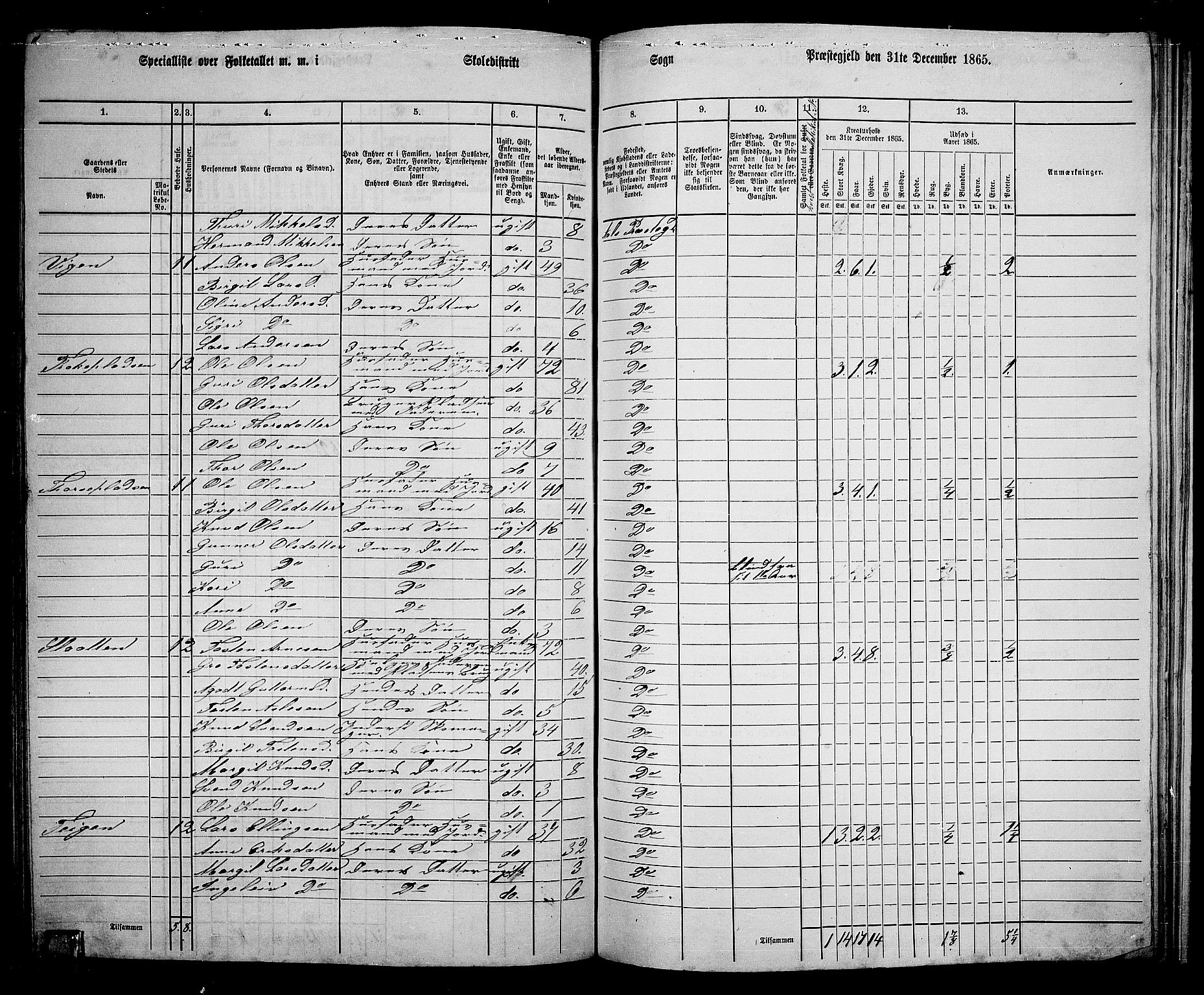 RA, 1865 census for Ål, 1865, p. 192