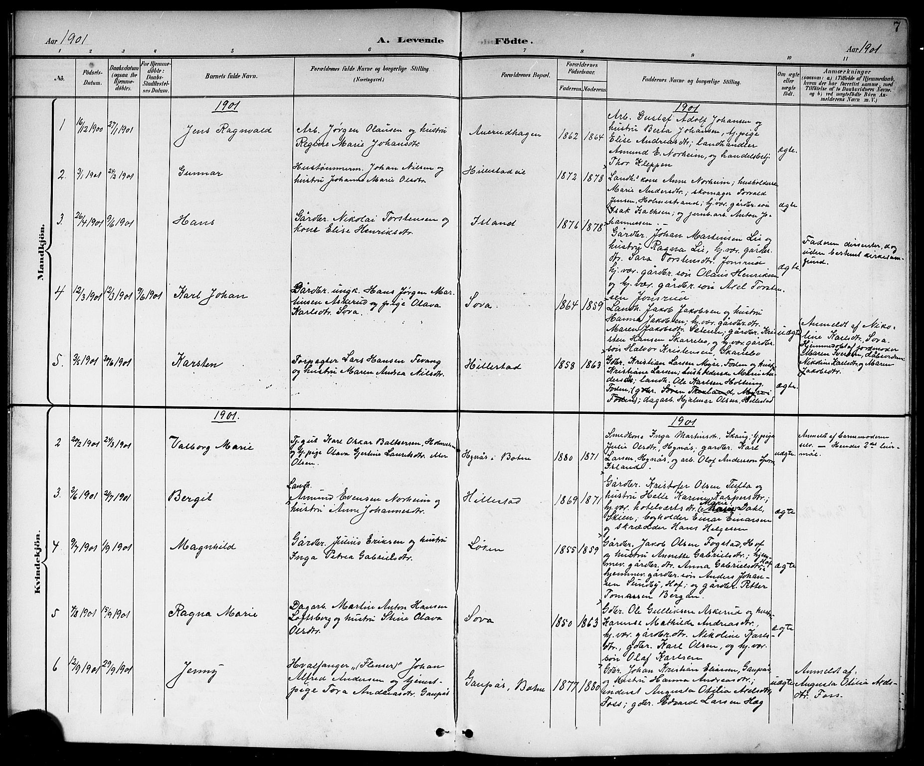 Botne kirkebøker, AV/SAKO-A-340/G/Gb/L0004: Parish register (copy) no. II 3, 1899-1917, p. 7