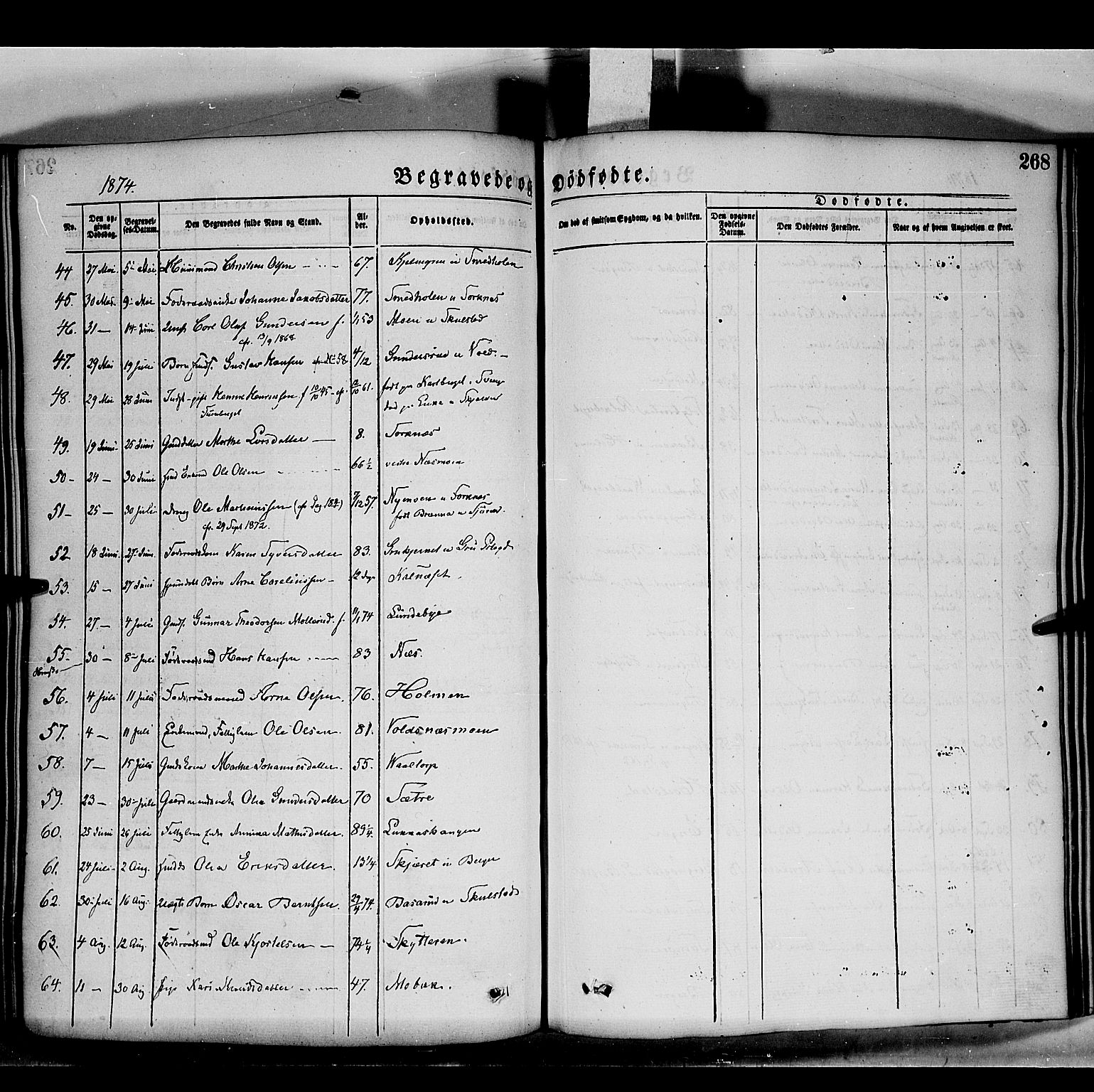 Grue prestekontor, AV/SAH-PREST-036/H/Ha/Haa/L0011: Parish register (official) no. 11, 1873-1880, p. 268