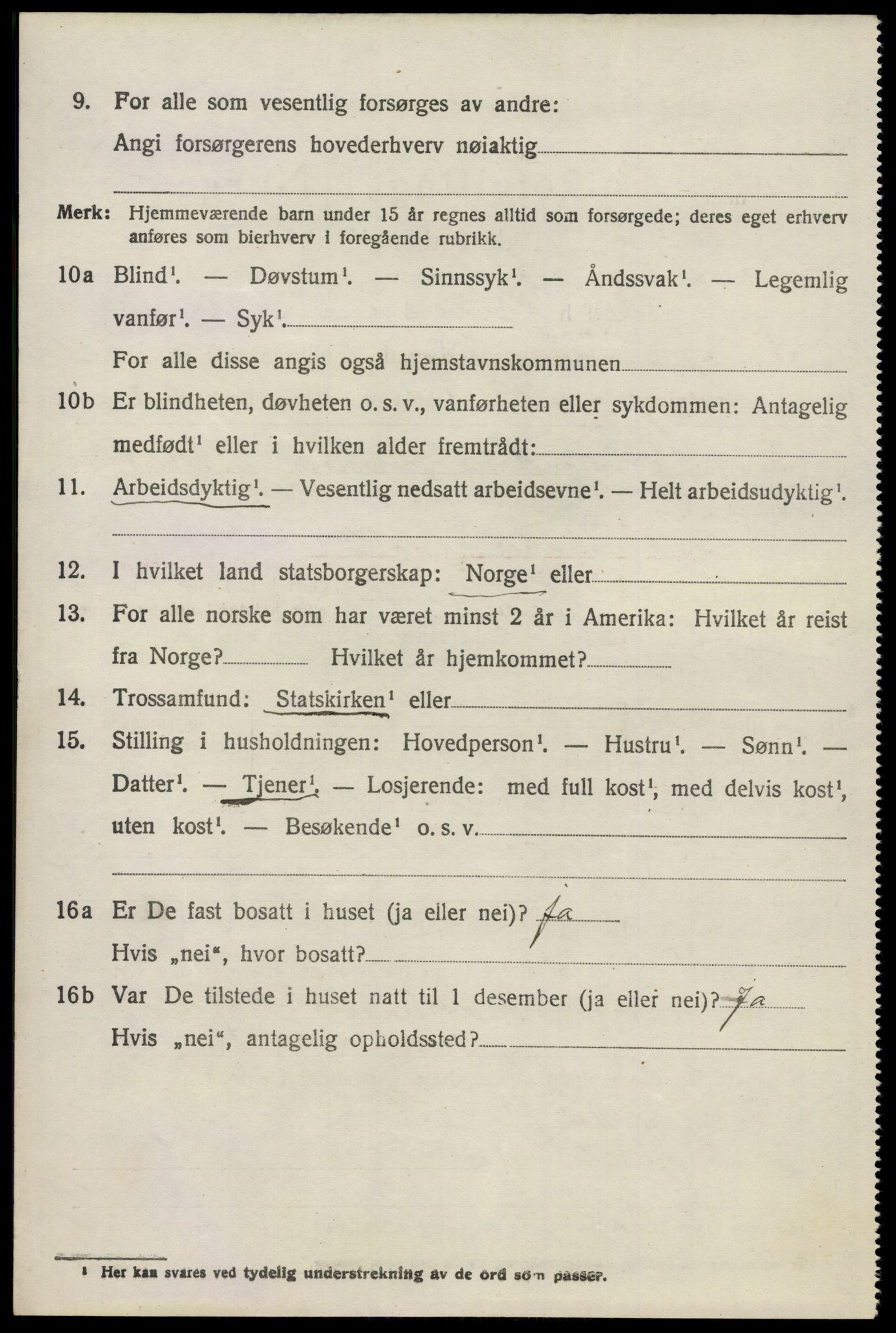 SAO, 1920 census for Nes, 1920, p. 13423