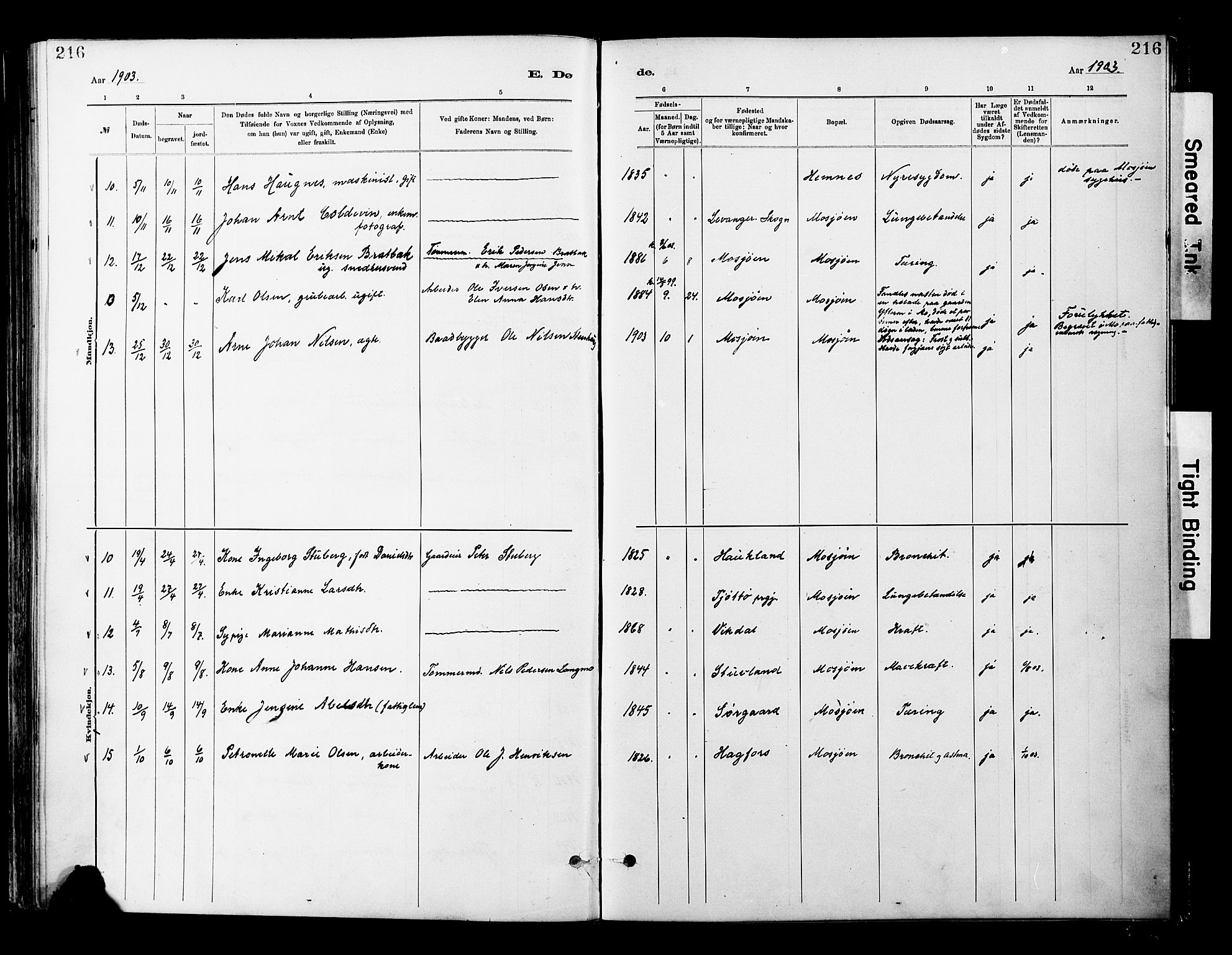 Ministerialprotokoller, klokkerbøker og fødselsregistre - Nordland, AV/SAT-A-1459/820/L0296: Parish register (official) no. 820A17, 1880-1903, p. 216