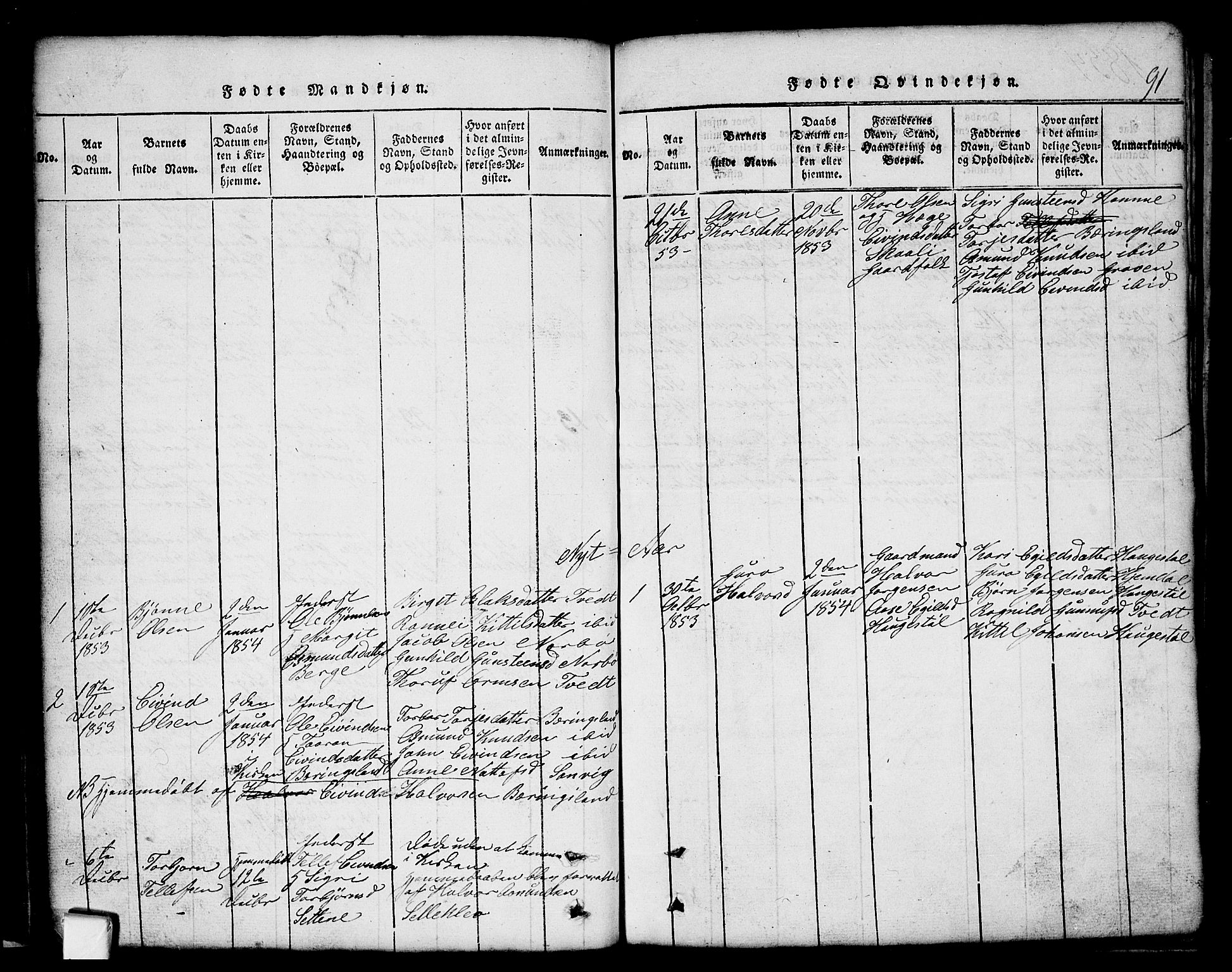 Nissedal kirkebøker, SAKO/A-288/G/Gb/L0001: Parish register (copy) no. II 1, 1814-1862, p. 91