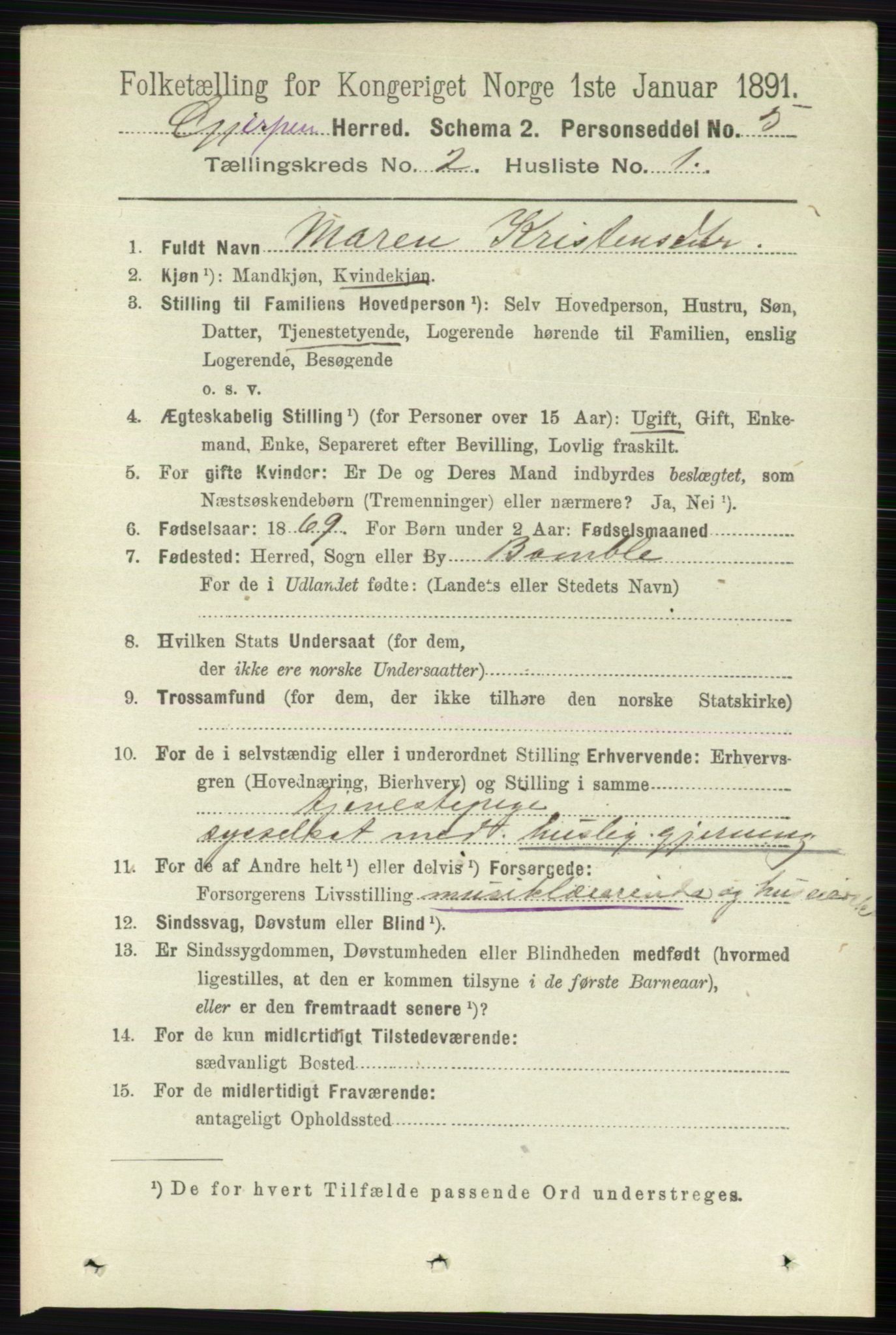 RA, 1891 census for 0812 Gjerpen, 1891, p. 741