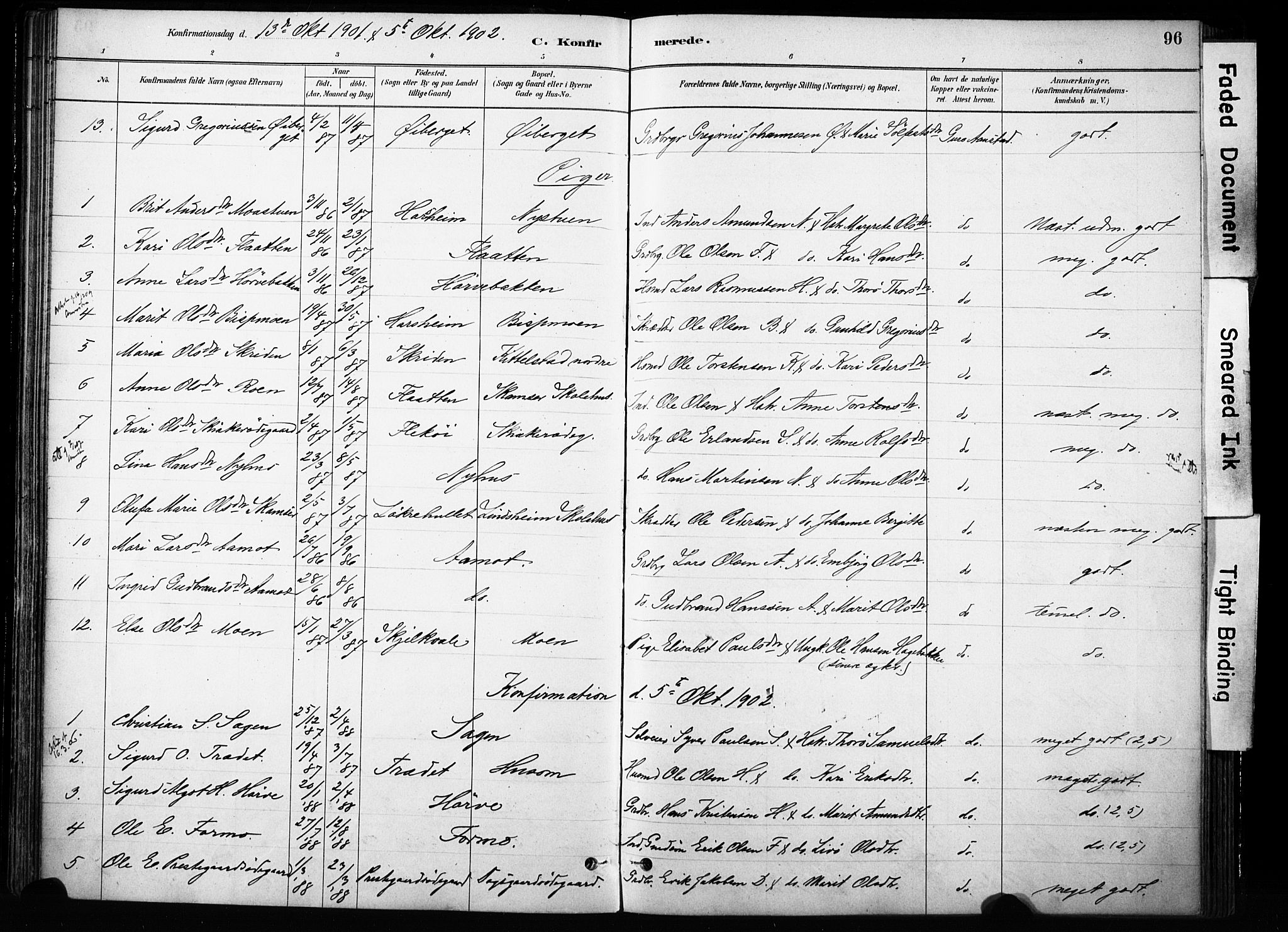 Skjåk prestekontor, SAH/PREST-072/H/Ha/Haa/L0004: Parish register (official) no. 4, 1880-1904, p. 96