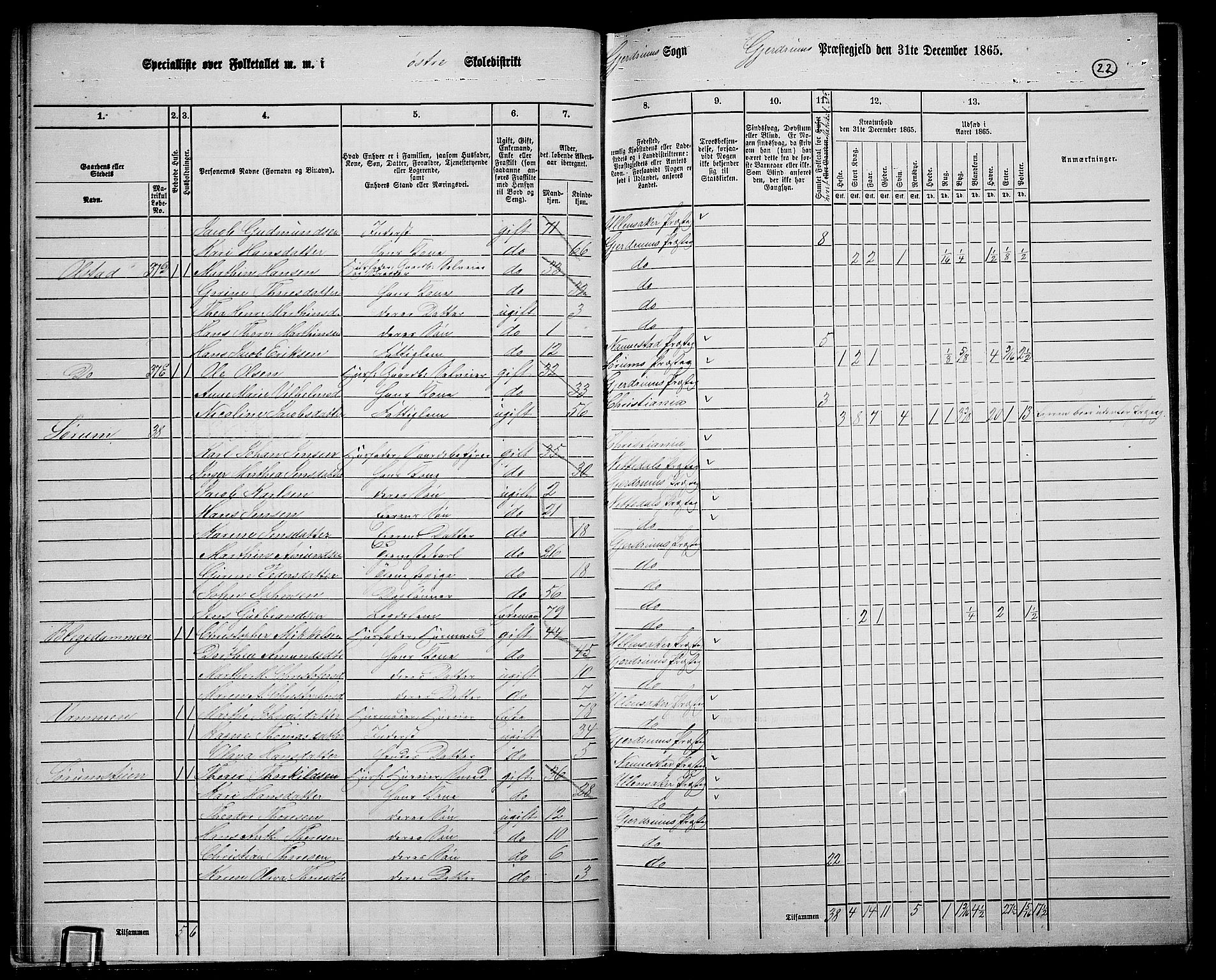 RA, 1865 census for Gjerdrum, 1865, p. 21