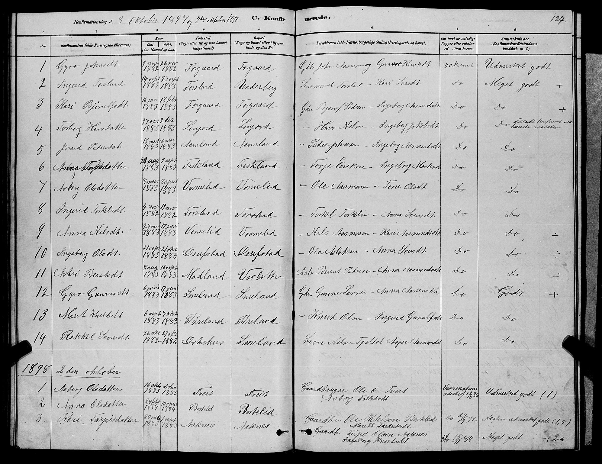 Åseral sokneprestkontor, AV/SAK-1111-0051/F/Fb/L0002: Parish register (copy) no. B 2, 1878-1899, p. 127