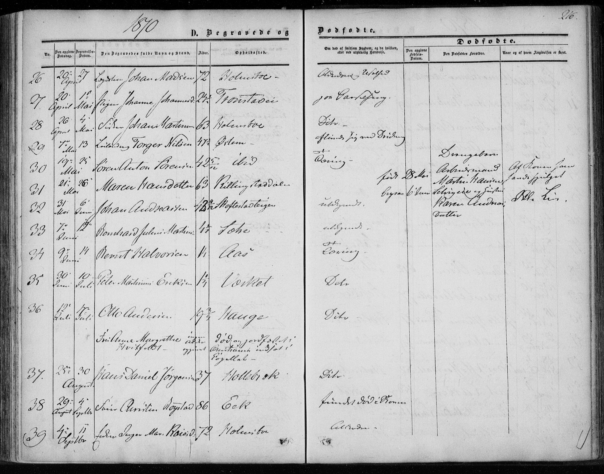 Hurum kirkebøker, AV/SAKO-A-229/F/Fa/L0012: Parish register (official) no. 12, 1861-1875, p. 216