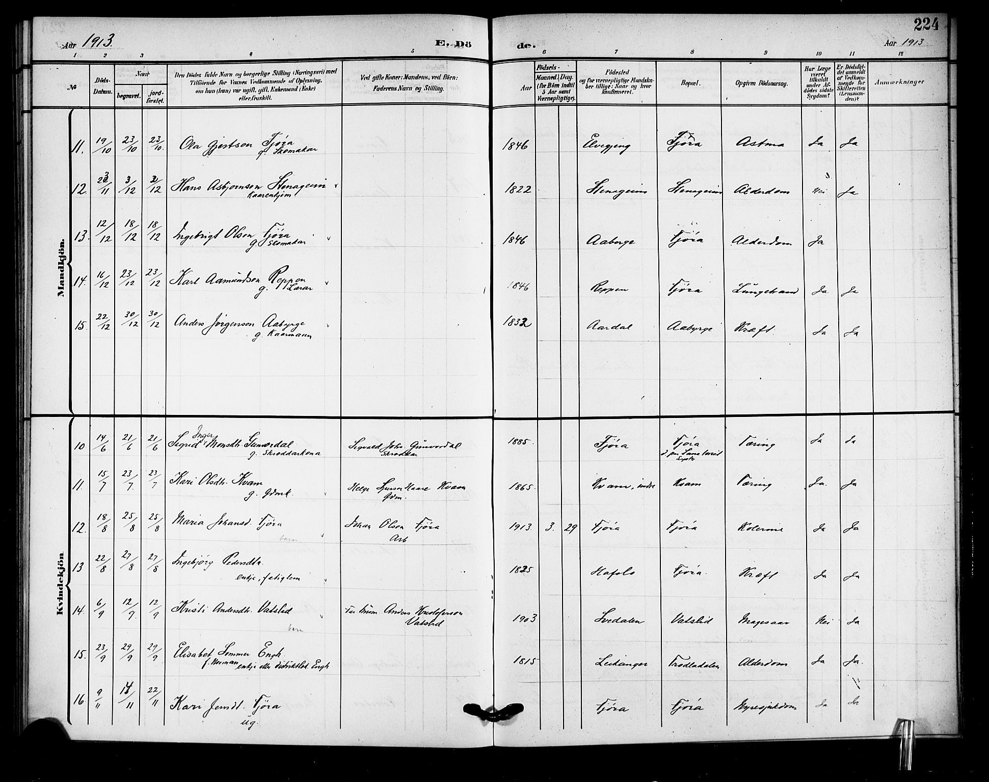 Sogndal sokneprestembete, AV/SAB-A-81301/H/Hab/Haba/L0002: Parish register (copy) no. A 2, 1908-1924, p. 224