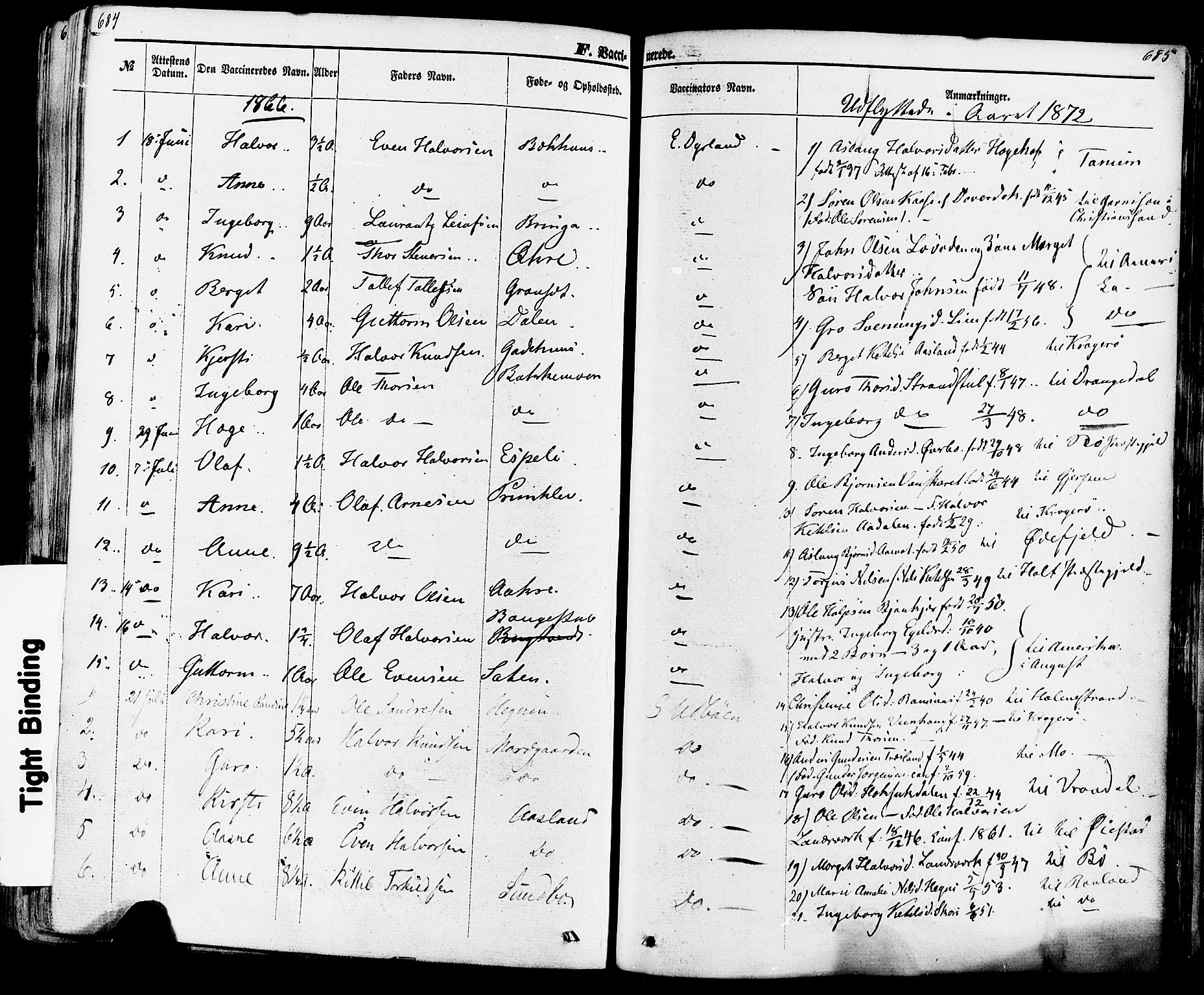 Seljord kirkebøker, SAKO/A-20/F/Fa/L0013: Parish register (official) no. I 13, 1866-1876, p. 684-685