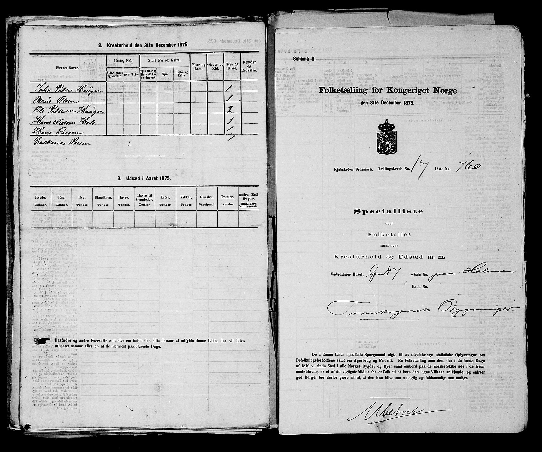 SAKO, 1875 census for 0602 Drammen, 1875, p. 1919