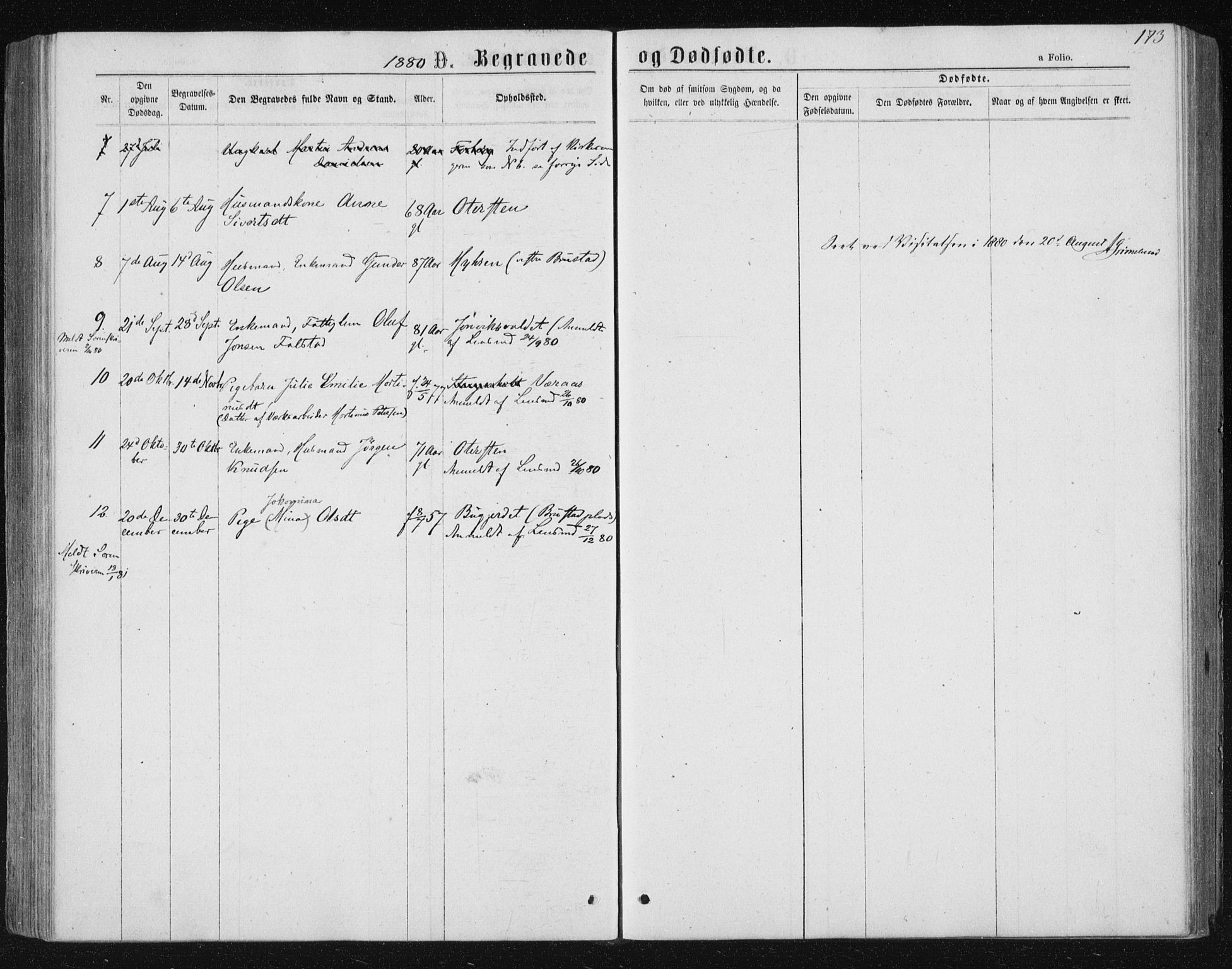 Ministerialprotokoller, klokkerbøker og fødselsregistre - Nord-Trøndelag, SAT/A-1458/722/L0219: Parish register (official) no. 722A06, 1868-1880, p. 173