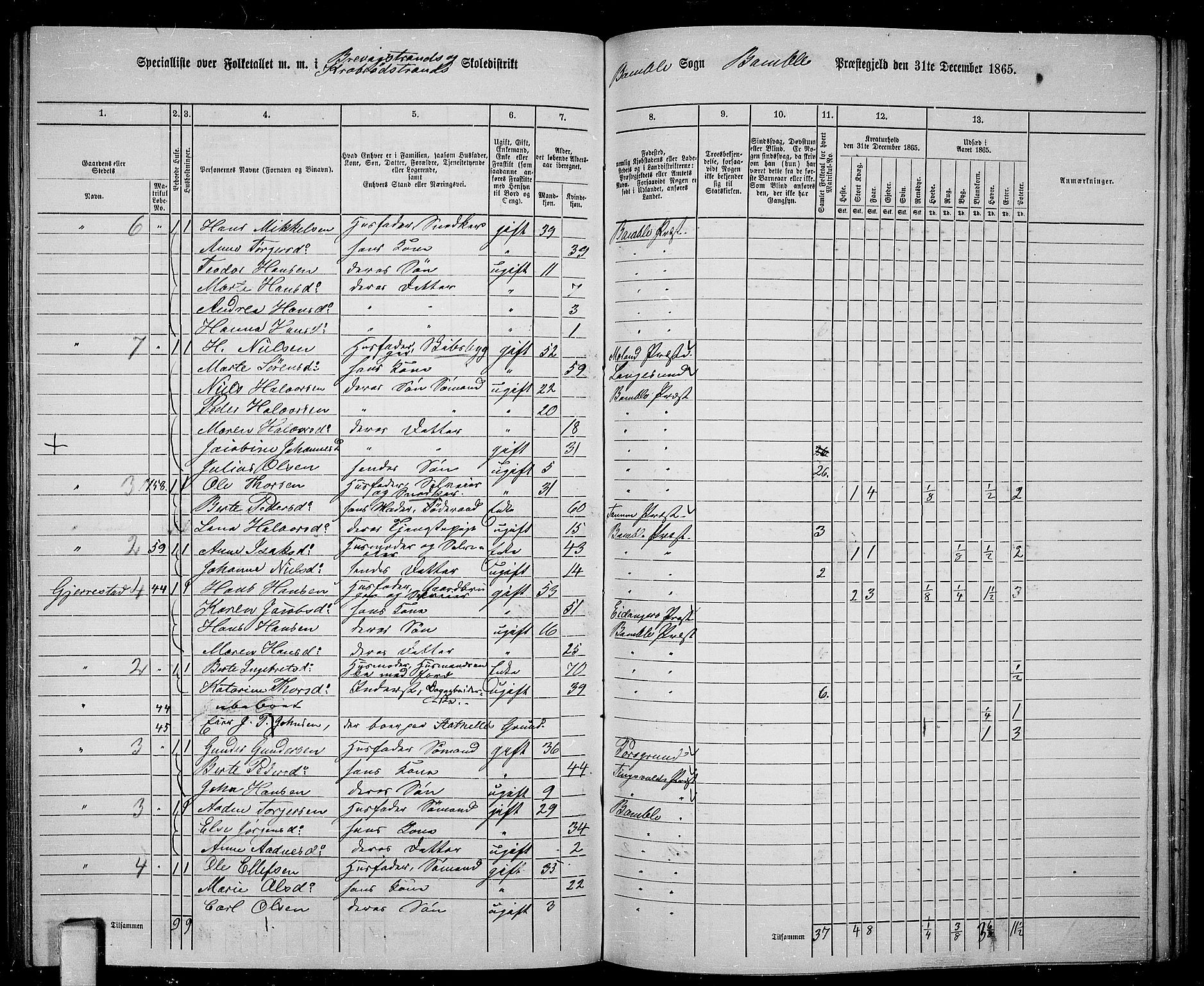 RA, 1865 census for Bamble, 1865, p. 138
