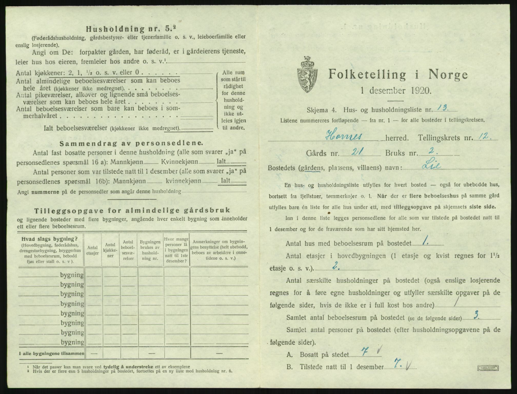 SAK, 1920 census for Hornnes, 1920, p. 497