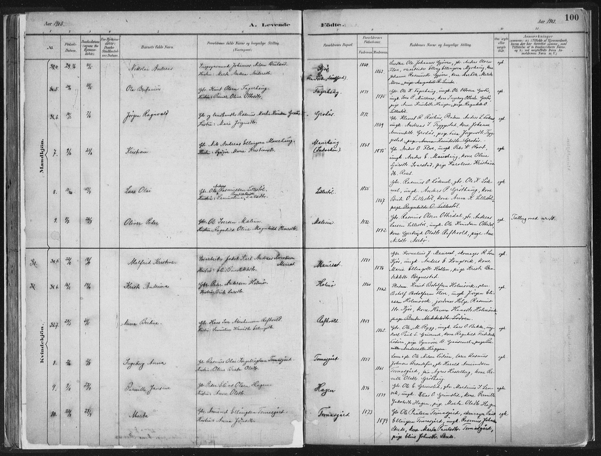 Hornindal sokneprestembete, SAB/A-82401/H/Haa/Haaa/L0003/0001: Parish register (official) no. A 3A, 1887-1917, p. 100
