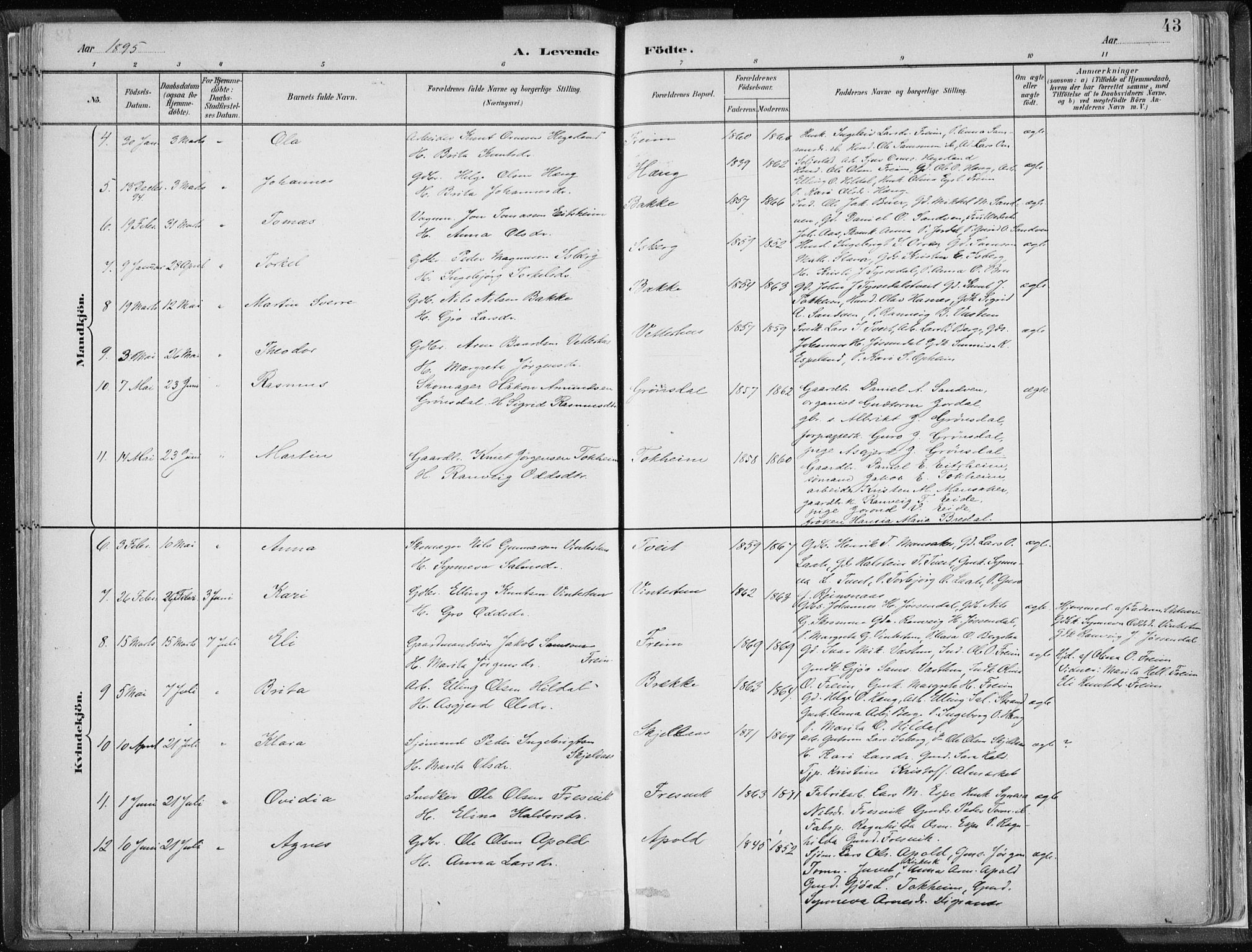 Odda Sokneprestembete, SAB/A-77201/H/Haa: Parish register (official) no. A  3, 1882-1913, p. 43