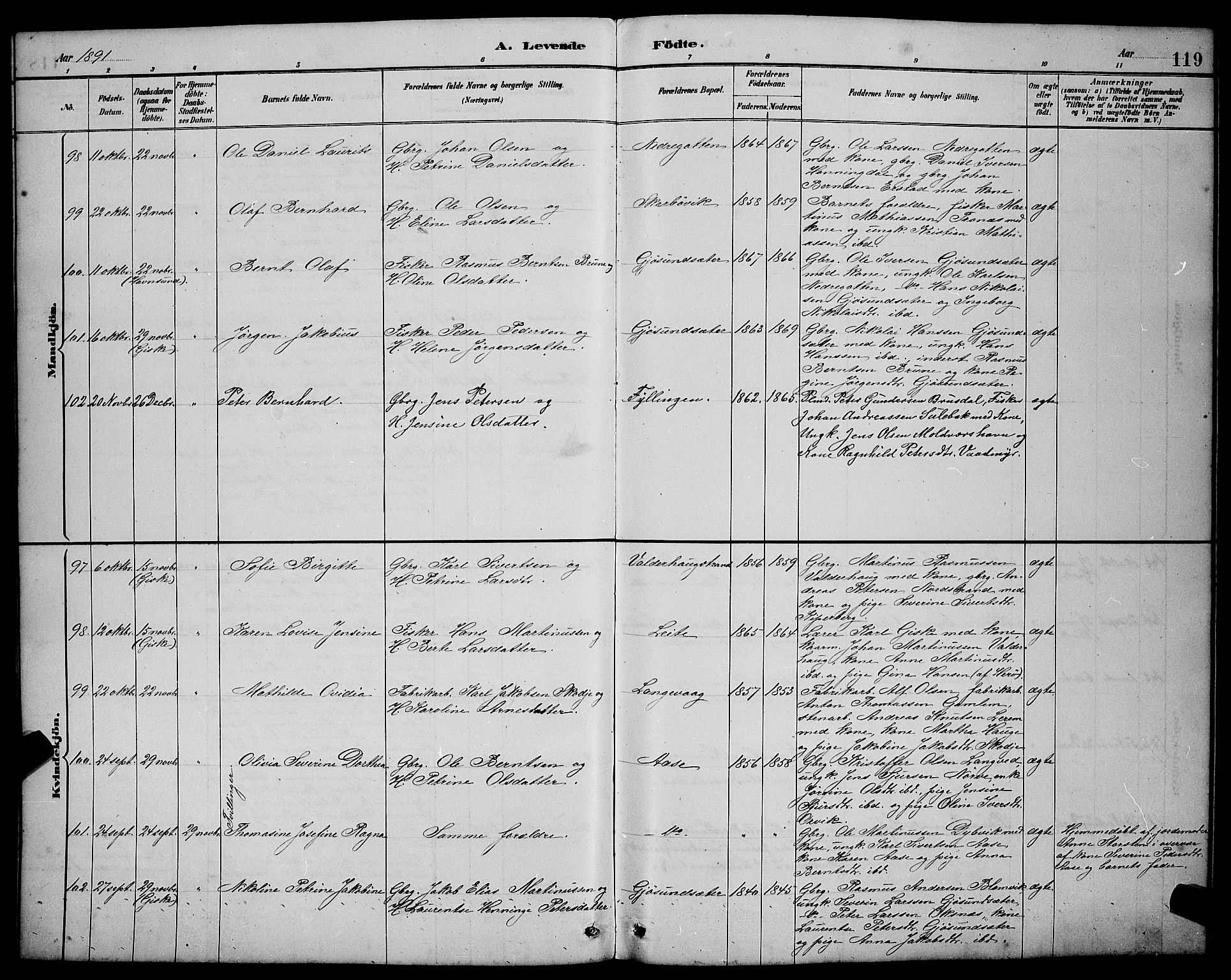Ministerialprotokoller, klokkerbøker og fødselsregistre - Møre og Romsdal, SAT/A-1454/528/L0431: Parish register (copy) no. 528C12, 1885-1898, p. 119