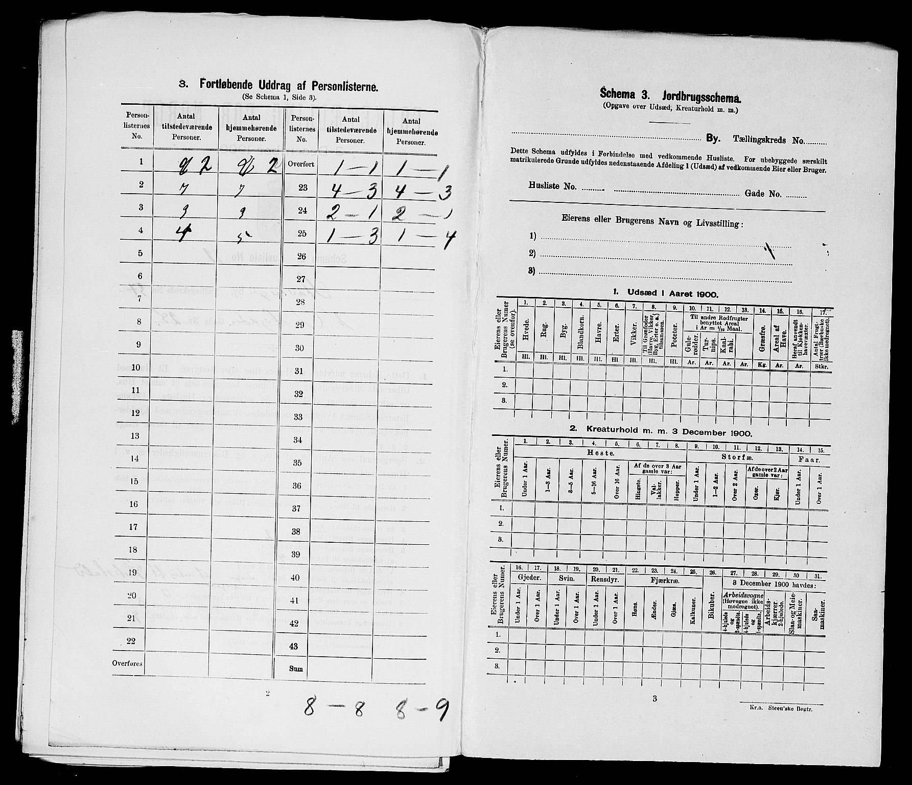 SAST, 1900 census for Stavanger, 1900, p. 13109