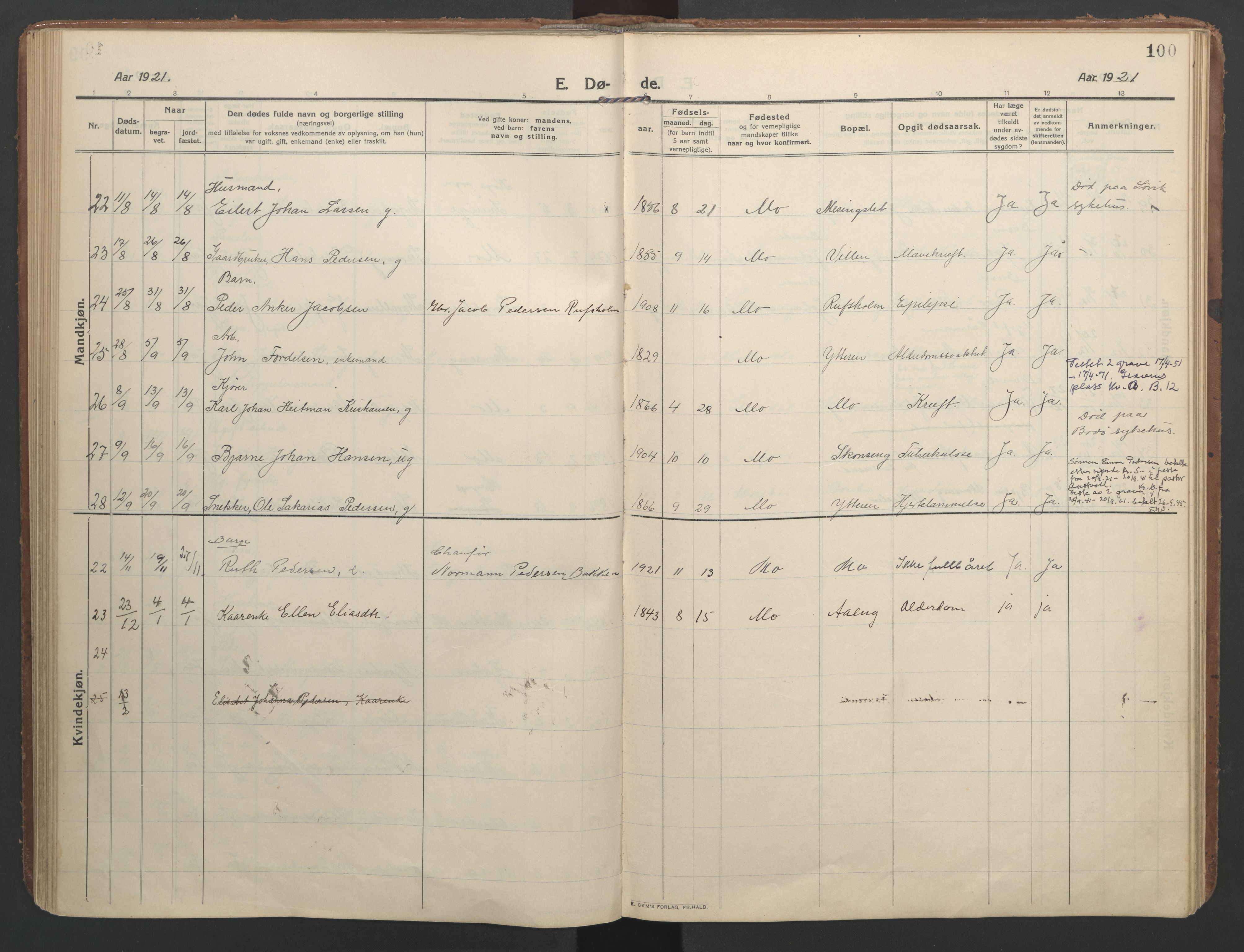 Ministerialprotokoller, klokkerbøker og fødselsregistre - Nordland, AV/SAT-A-1459/827/L0405: Parish register (official) no. 827A17, 1912-1925, p. 100