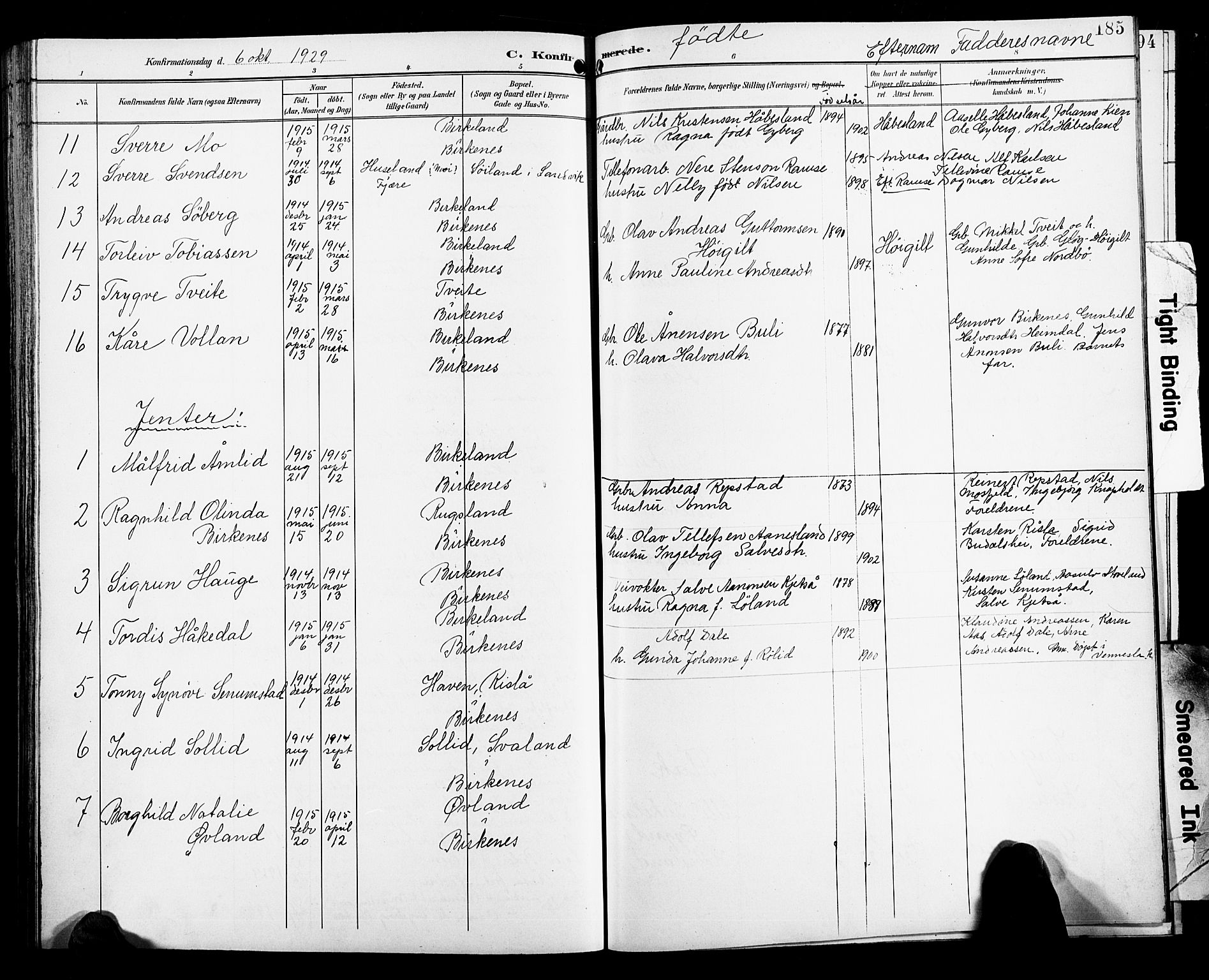Birkenes sokneprestkontor, AV/SAK-1111-0004/F/Fb/L0004: Parish register (copy) no. B 4, 1893-1930, p. 183