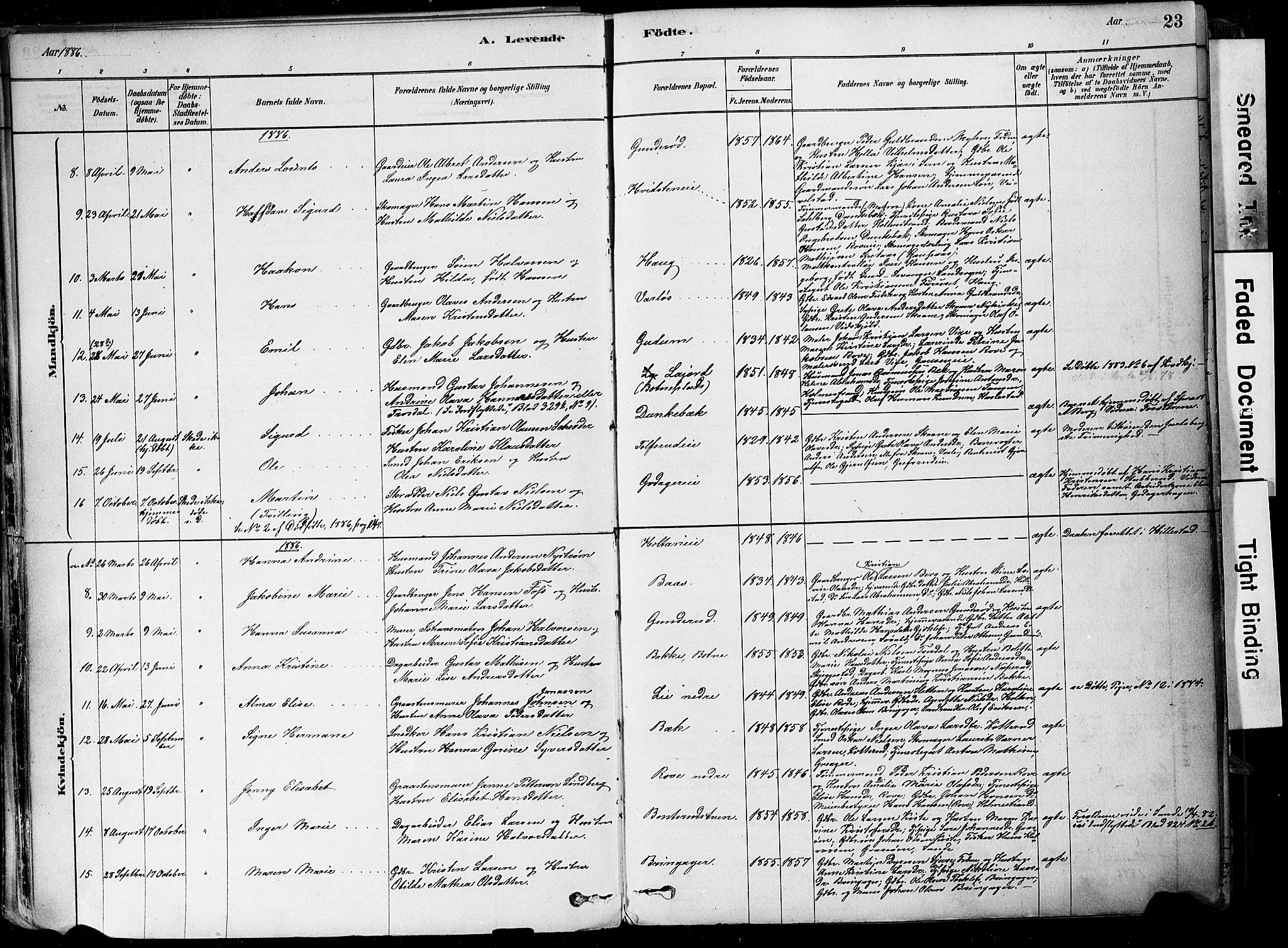 Botne kirkebøker, AV/SAKO-A-340/F/Fa/L0007: Parish register (official) no. I 7, 1878-1910, p. 23