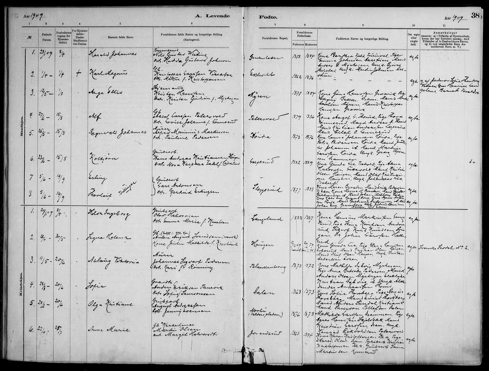 Skoger kirkebøker, SAKO/A-59/F/Fb/L0001: Parish register (official) no. II 1, 1885-1913, p. 38