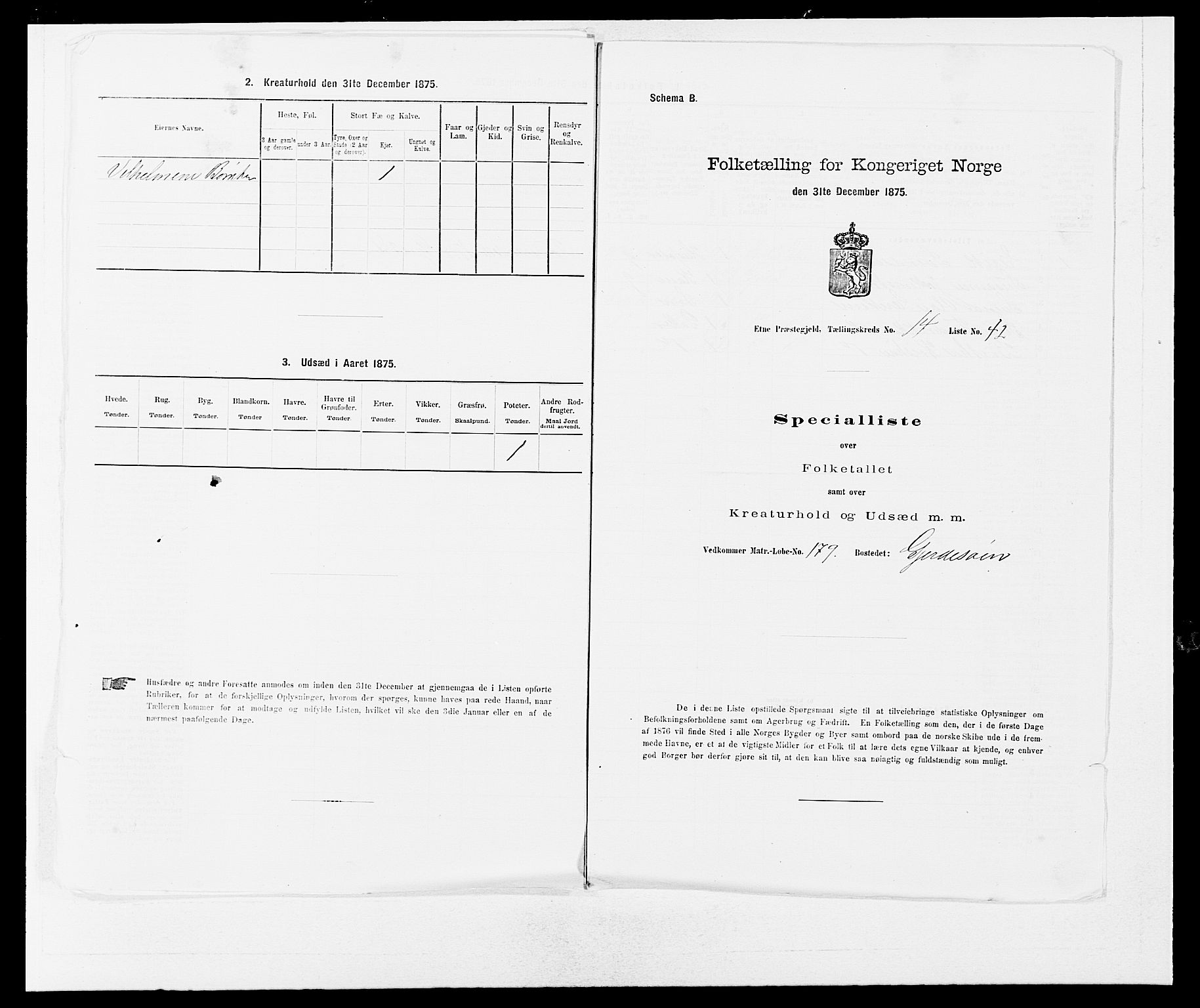 SAB, 1875 census for 1211P Etne, 1875, p. 994