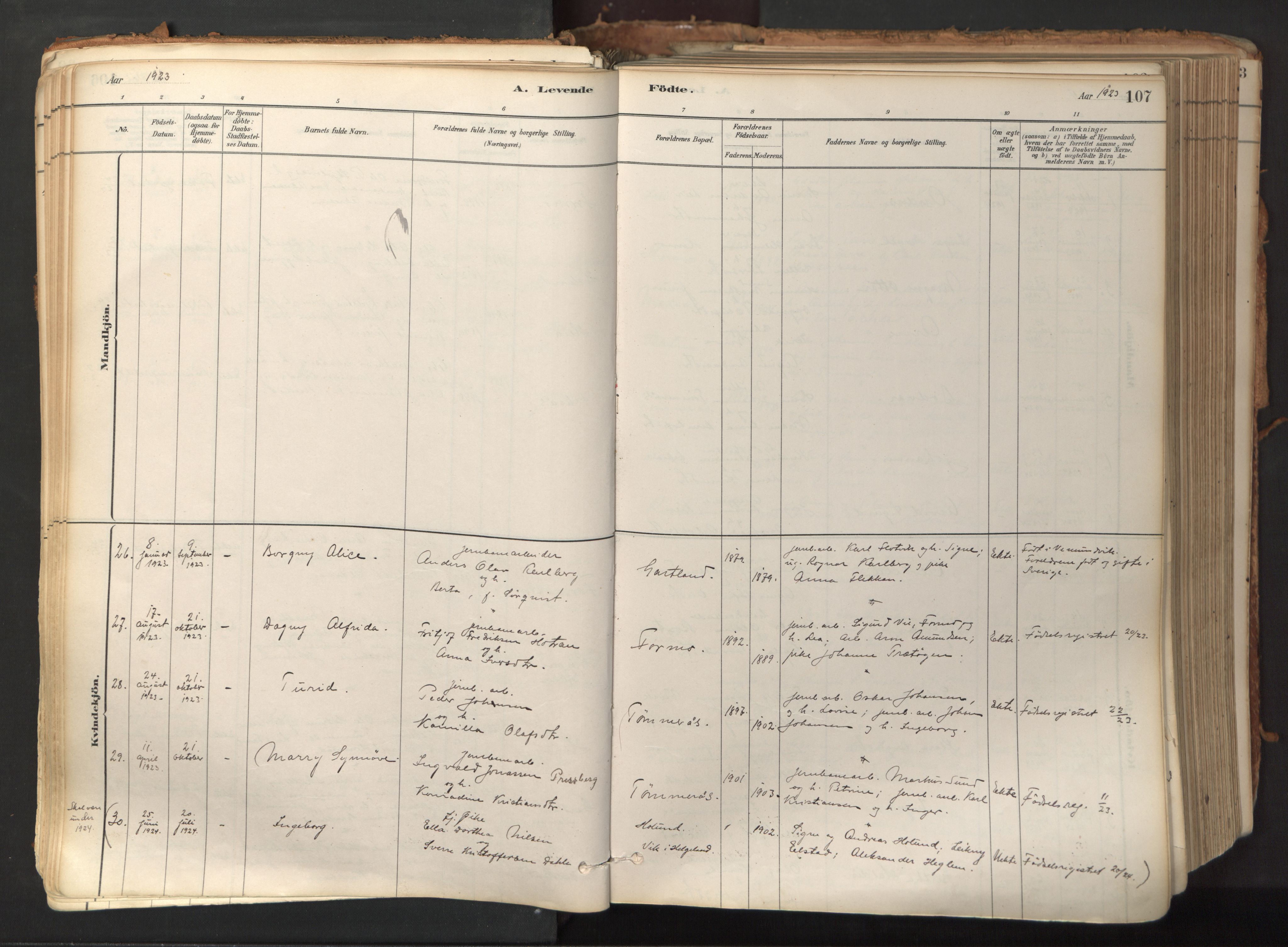 Ministerialprotokoller, klokkerbøker og fødselsregistre - Nord-Trøndelag, SAT/A-1458/758/L0519: Parish register (official) no. 758A04, 1880-1926, p. 107