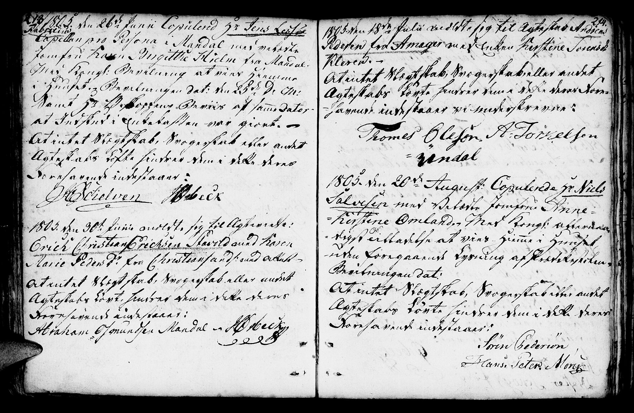 Mandal sokneprestkontor, AV/SAK-1111-0030/F/Fa/Faa/L0007: Parish register (official) no. A 7, 1783-1818, p. 213-214