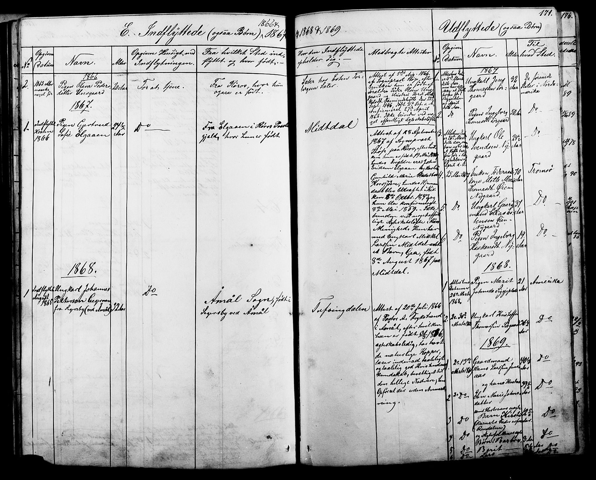 Tolga prestekontor, AV/SAH-PREST-062/L/L0006: Parish register (copy) no. 6, 1864-1894, p. 171