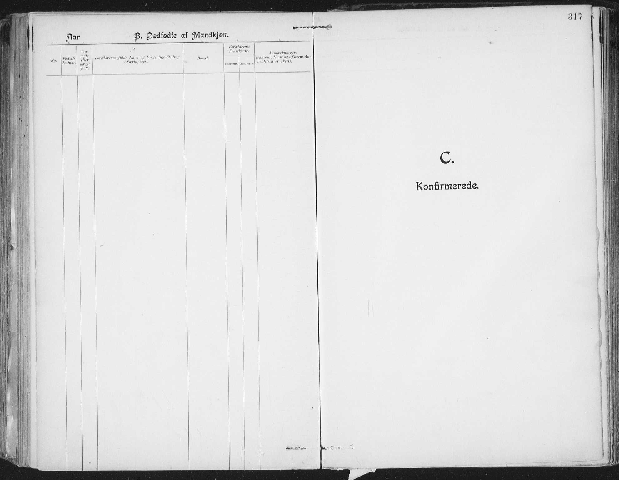 Ministerialprotokoller, klokkerbøker og fødselsregistre - Nordland, AV/SAT-A-1459/801/L0011: Parish register (official) no. 801A11, 1900-1916, p. 317