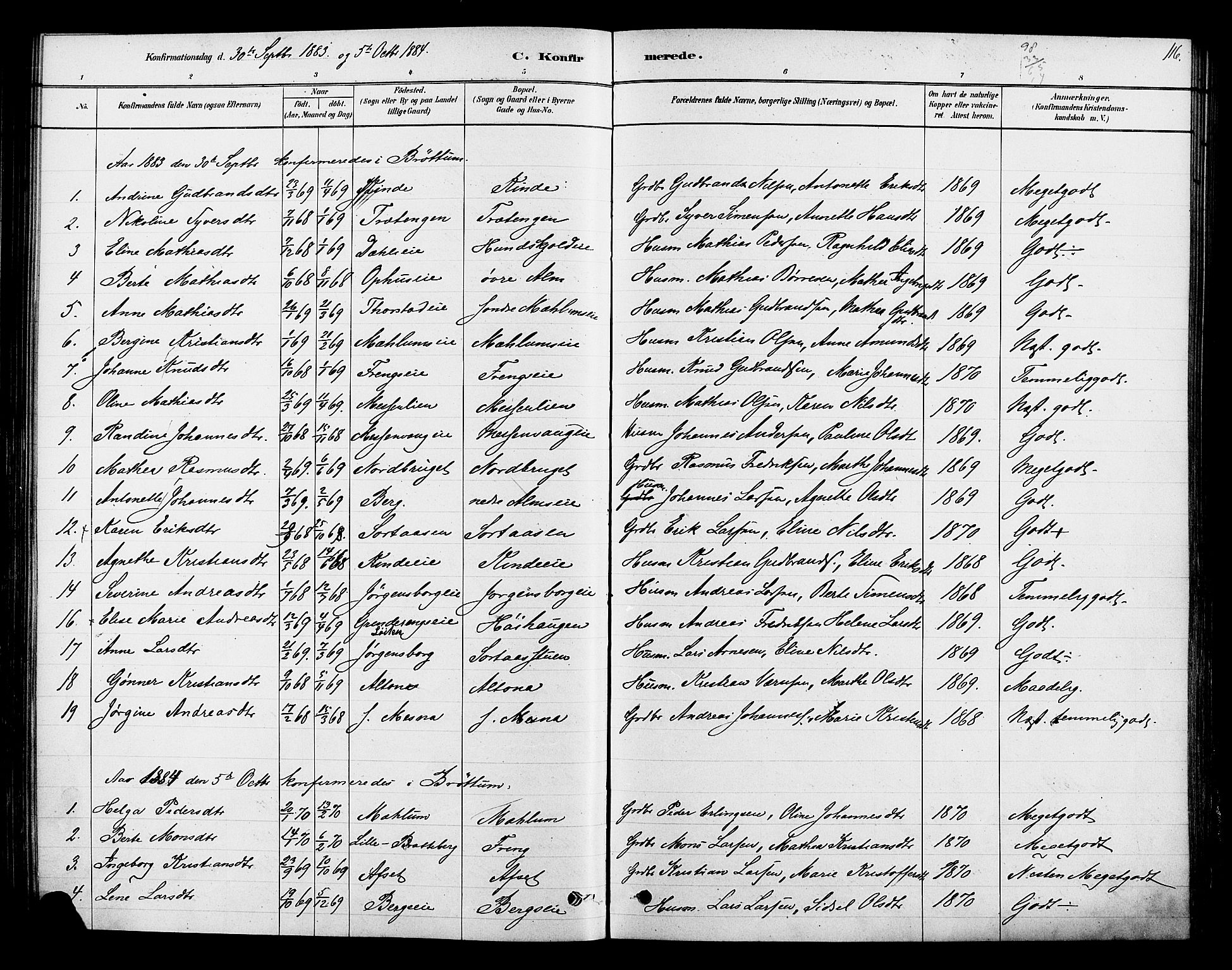 Ringsaker prestekontor, SAH/PREST-014/K/Ka/L0013: Parish register (official) no. 13, 1879-1890, p. 116