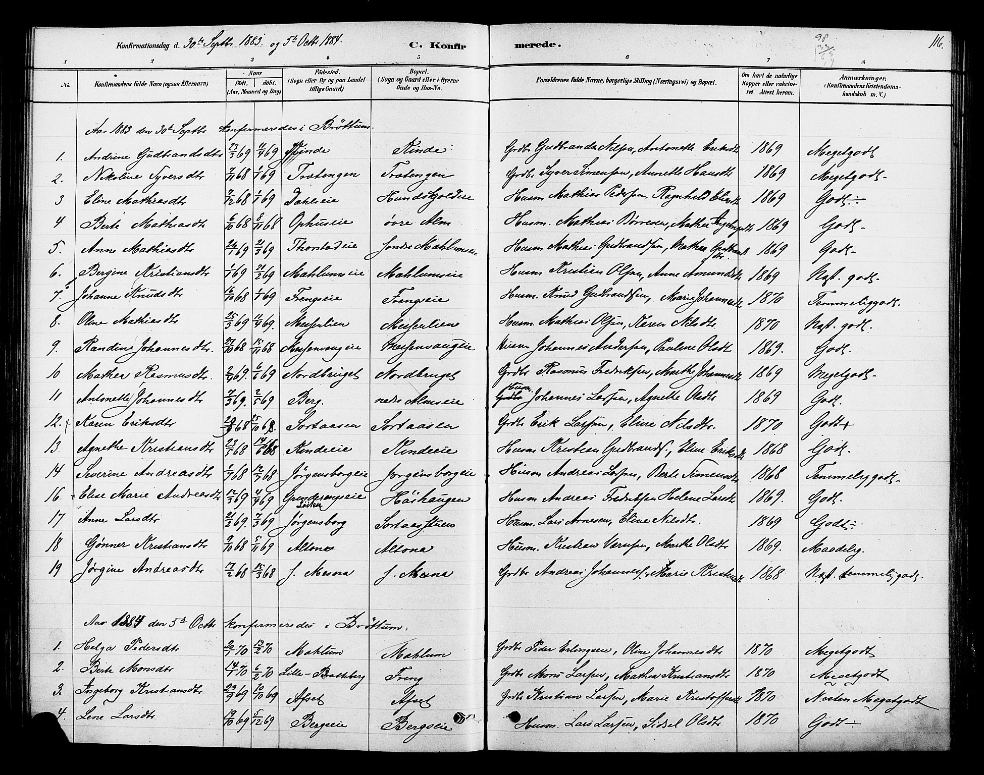 Ringsaker prestekontor, AV/SAH-PREST-014/K/Ka/L0013: Parish register (official) no. 13, 1879-1890, p. 116