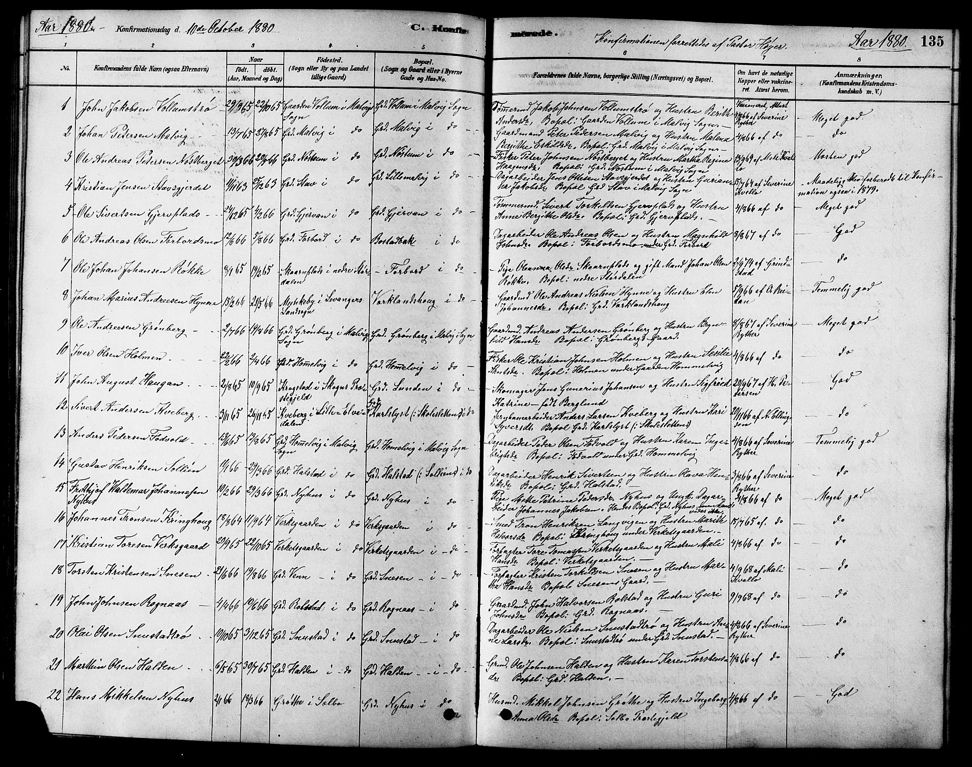 Ministerialprotokoller, klokkerbøker og fødselsregistre - Sør-Trøndelag, SAT/A-1456/616/L0423: Parish register (copy) no. 616C06, 1878-1903, p. 135