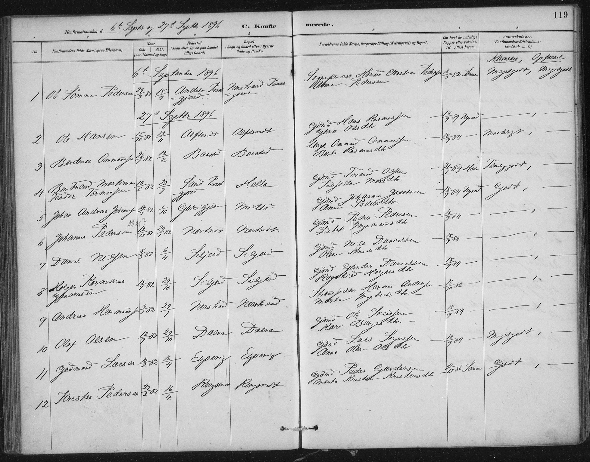 Nedstrand sokneprestkontor, SAST/A-101841/01/IV: Parish register (official) no. A 12, 1887-1915, p. 119